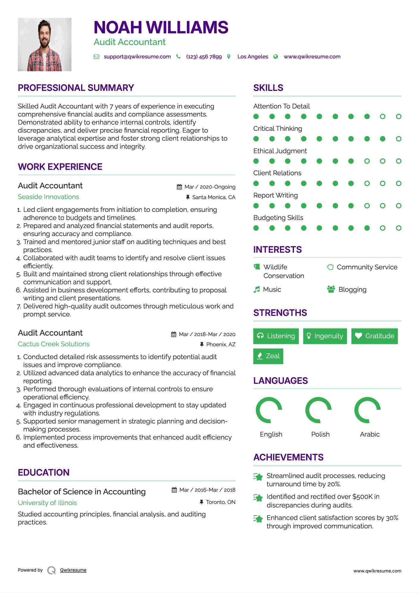 Audit Accountant Resume Sample