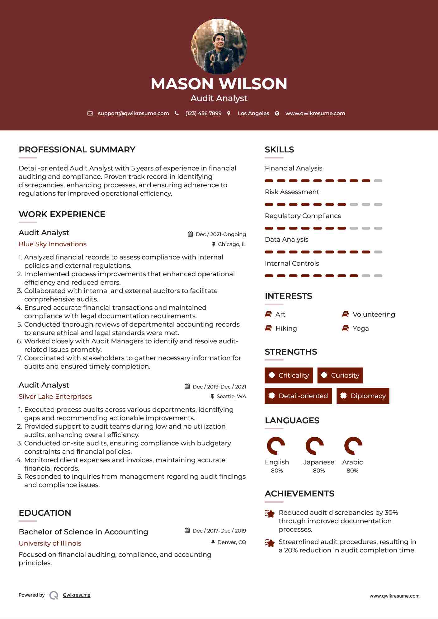 Audit Analyst Resume Example