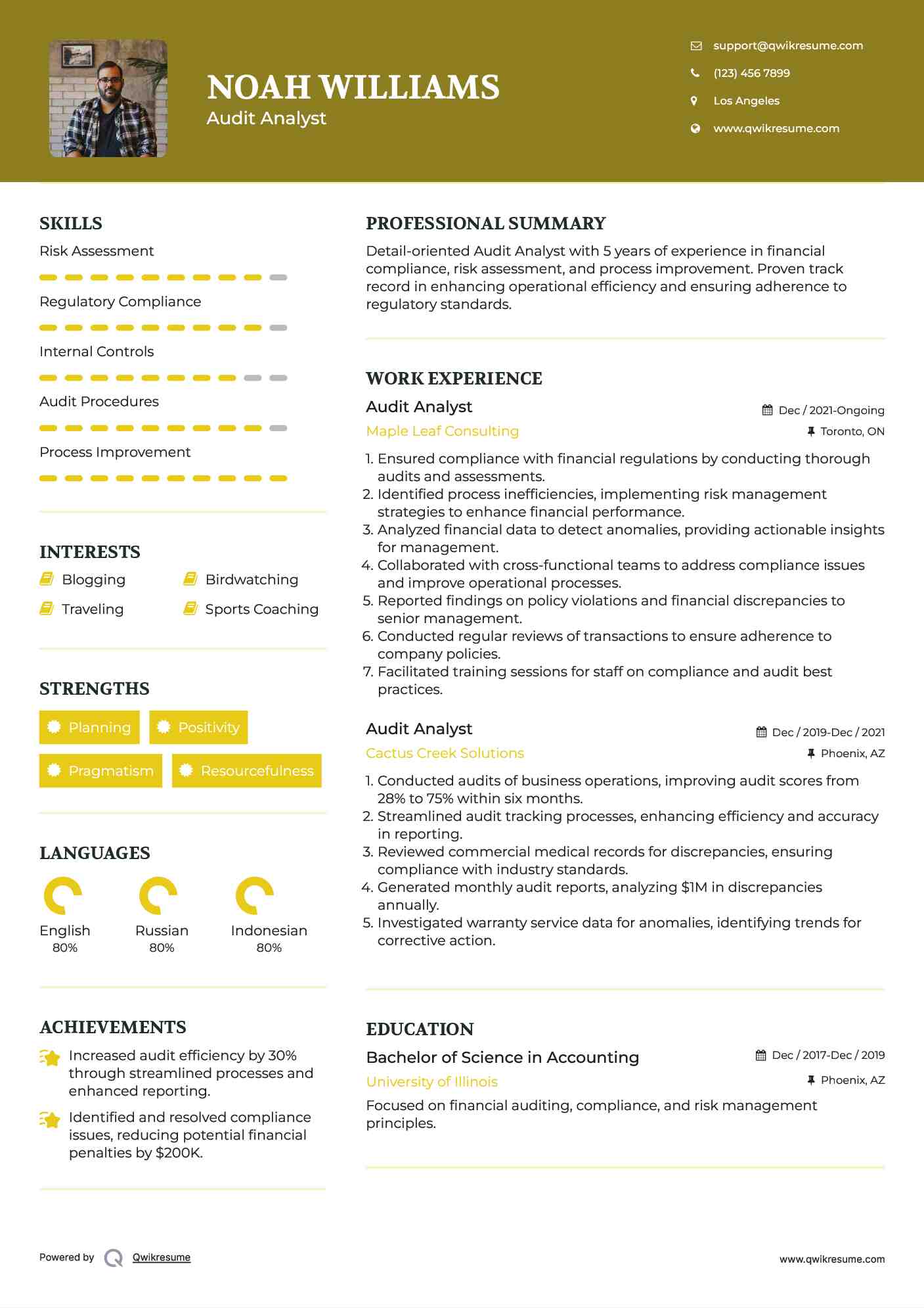 Audit Analyst Resume Model