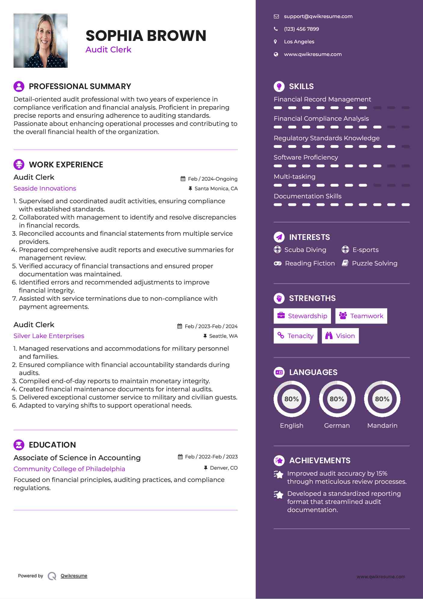 Audit Clerk Resume Model