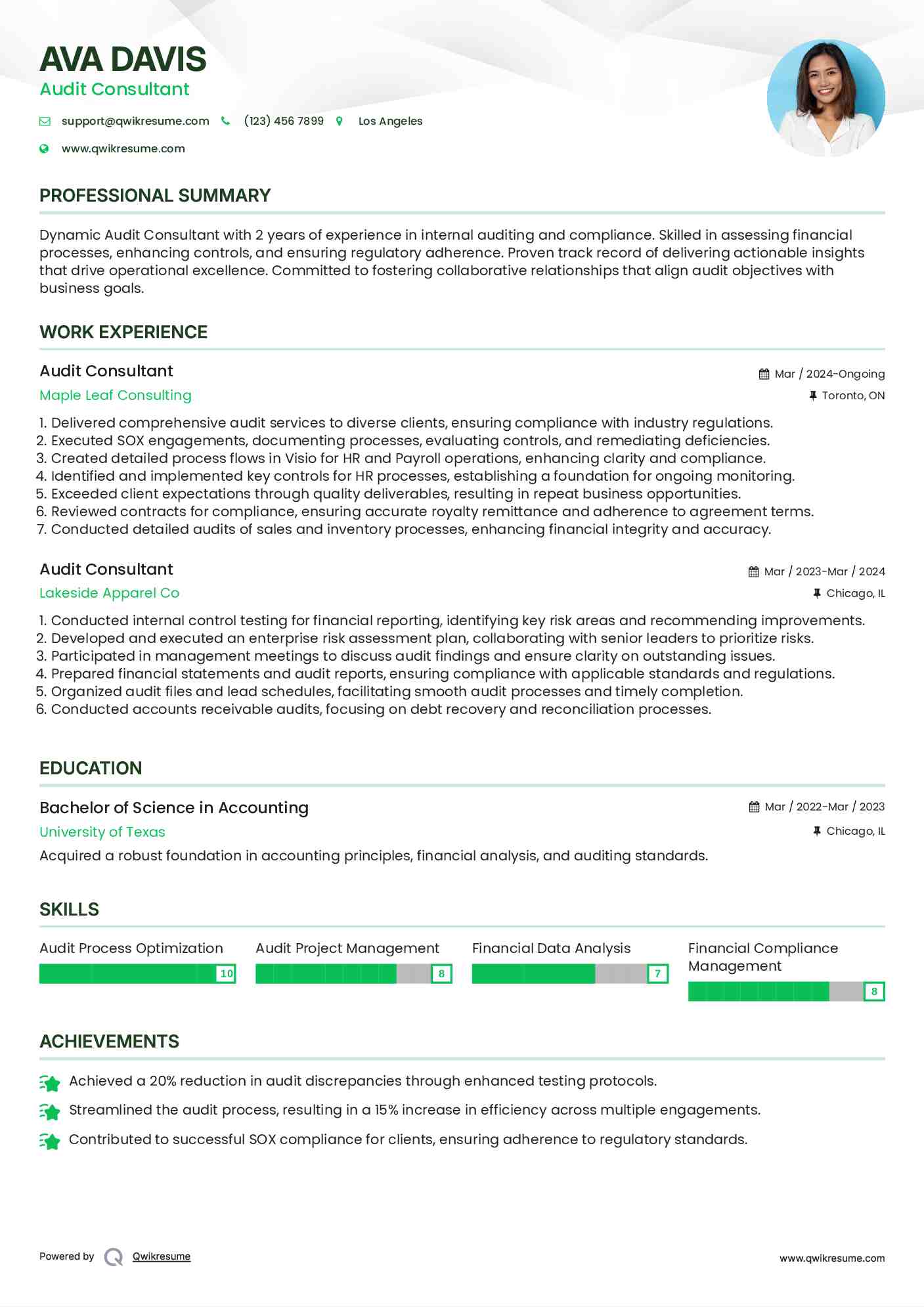 Audit Consultant Resume Template