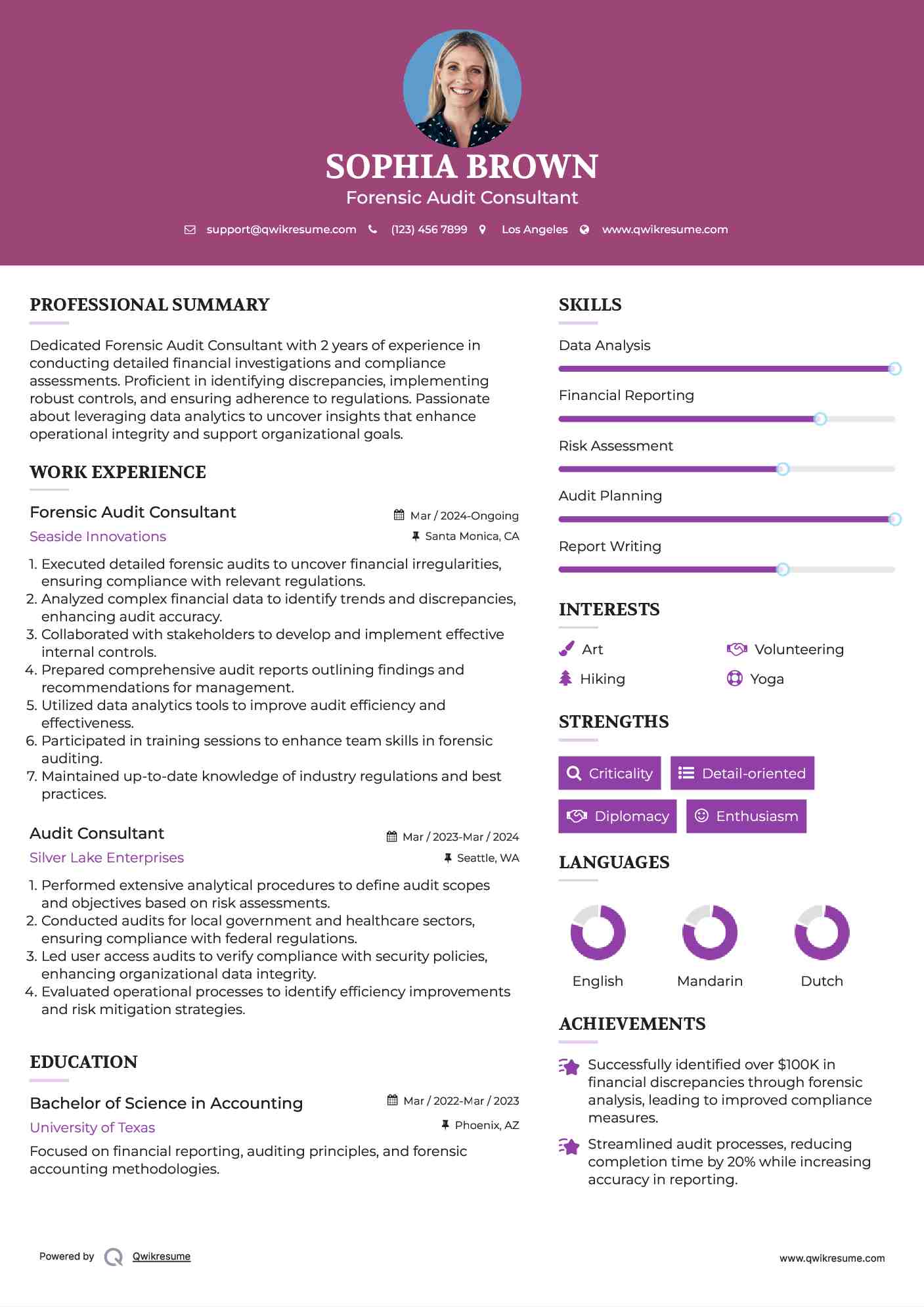 Forensic Audit Consultant Resume Sample