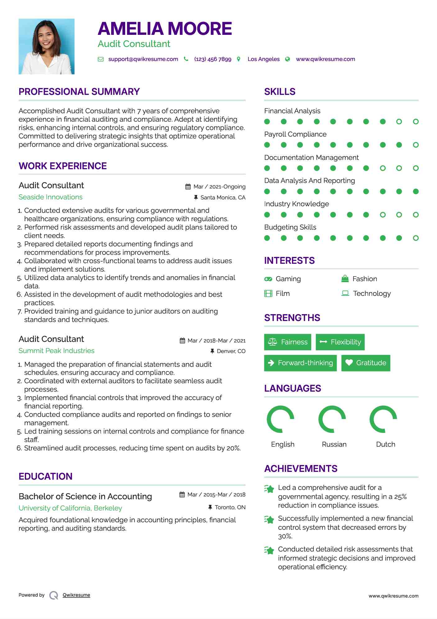 Audit Consultant Resume Example