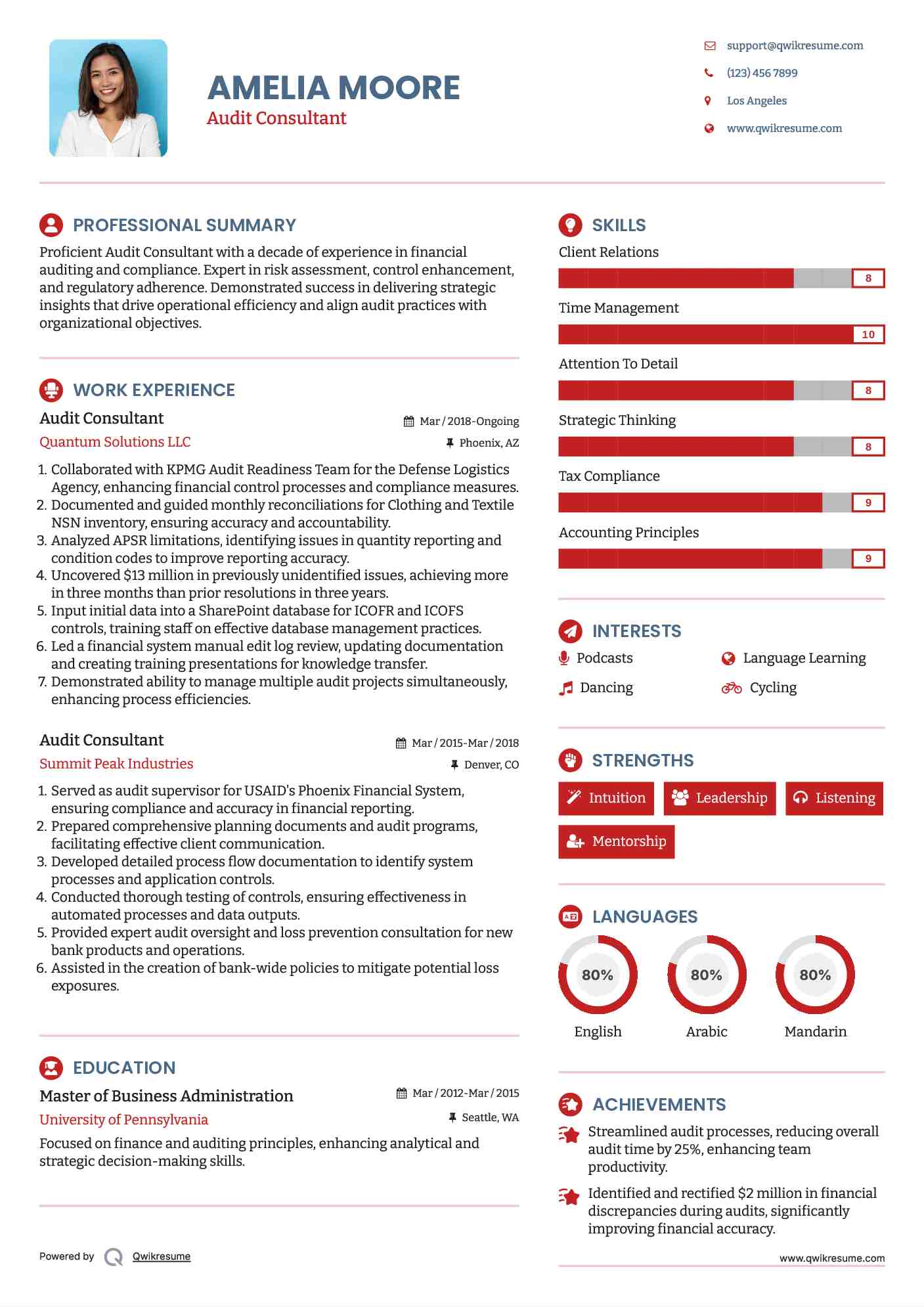 Audit Consultant Resume Template