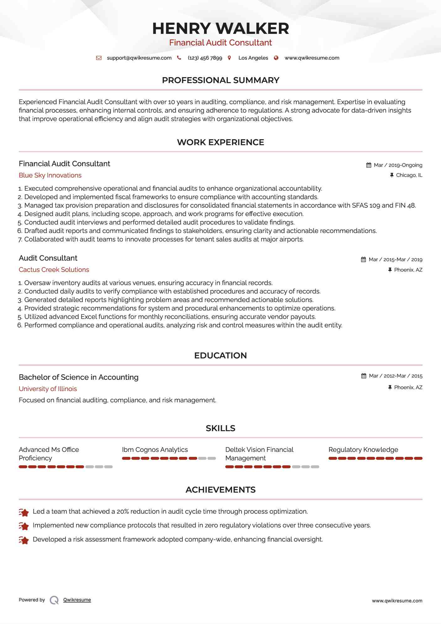 Financial Audit Consultant Resume Sample