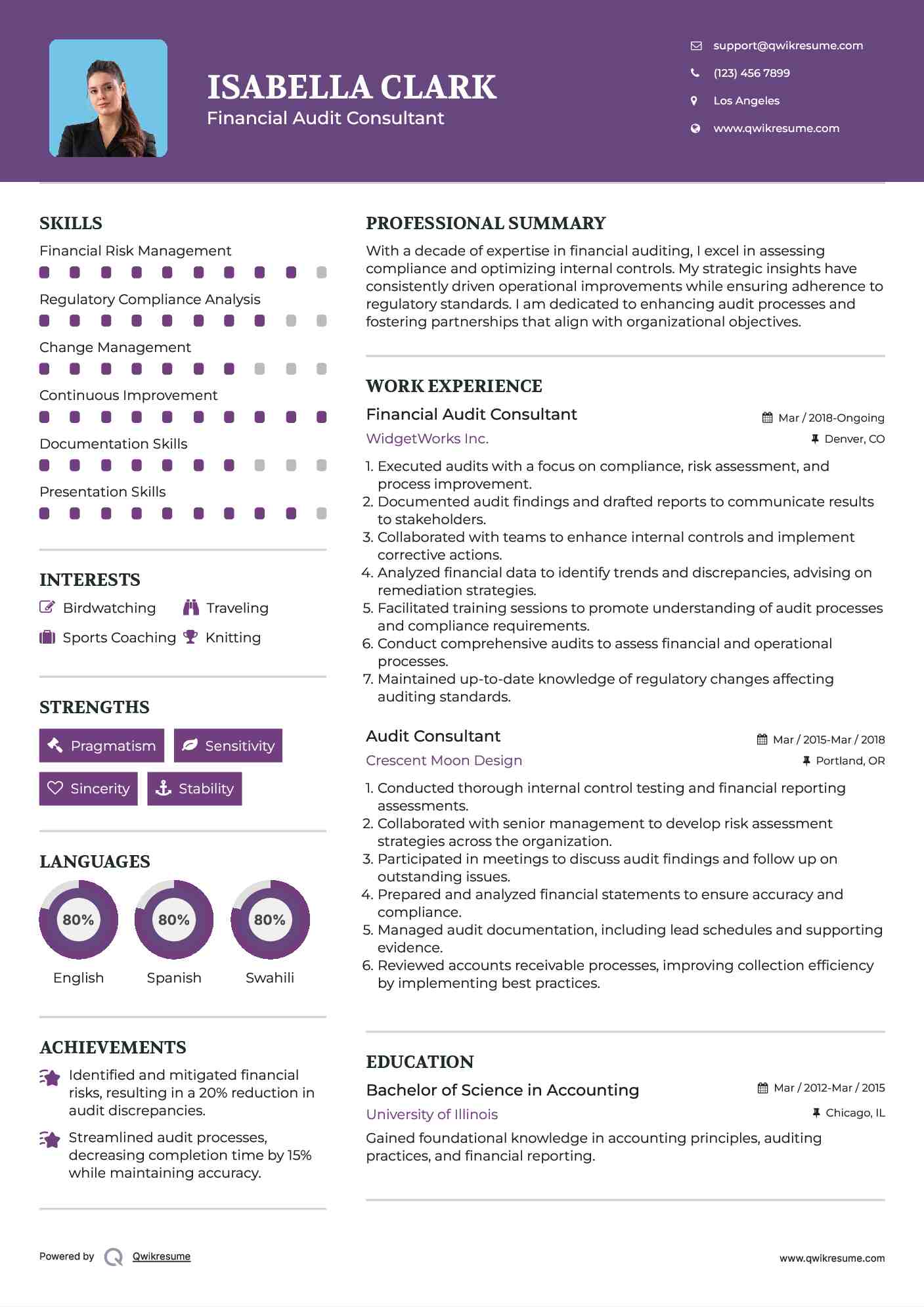 Financial Audit Consultant Resume Template
