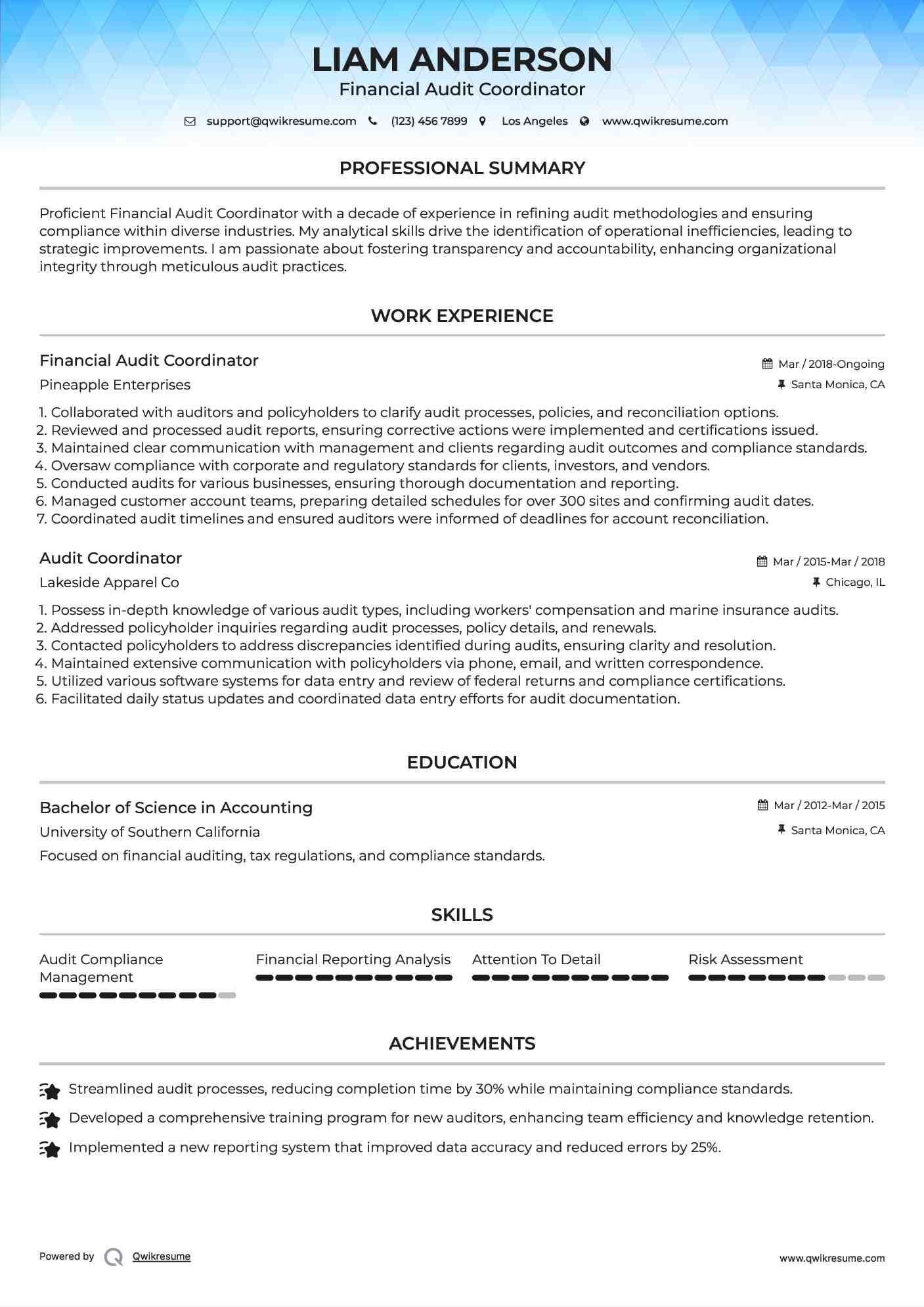 Financial Audit Coordinator Resume Sample