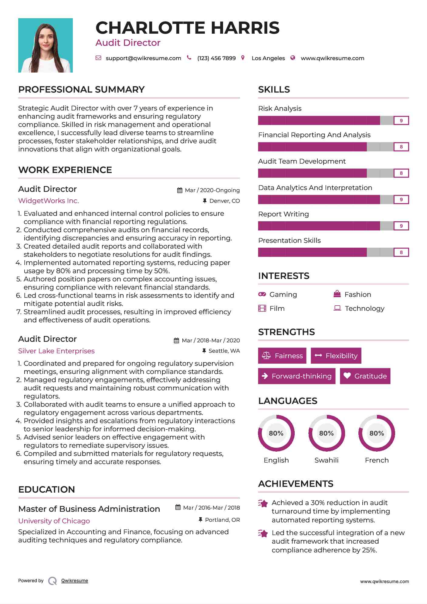 Audit Director Resume Template