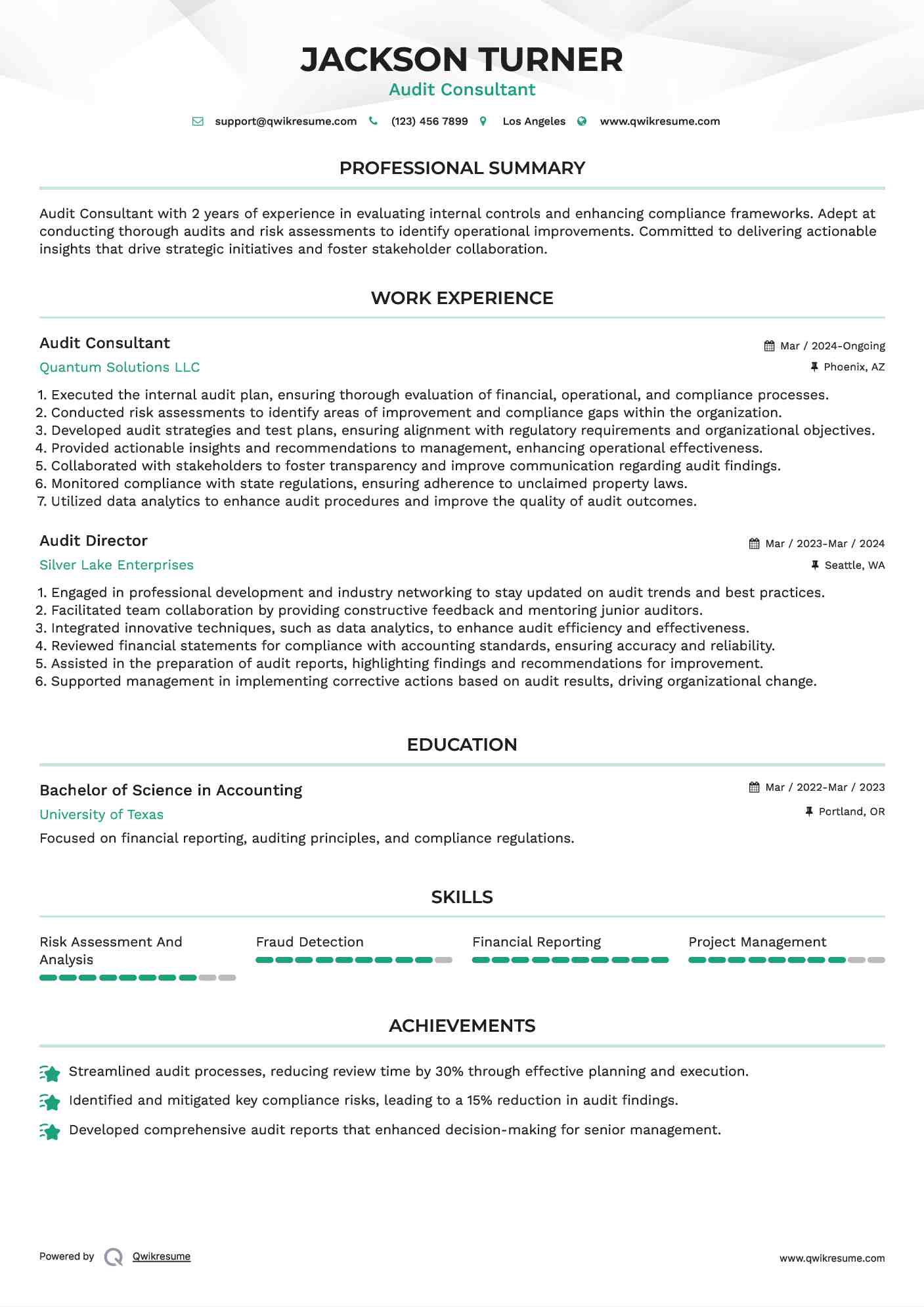 Audit Consultant Resume Format