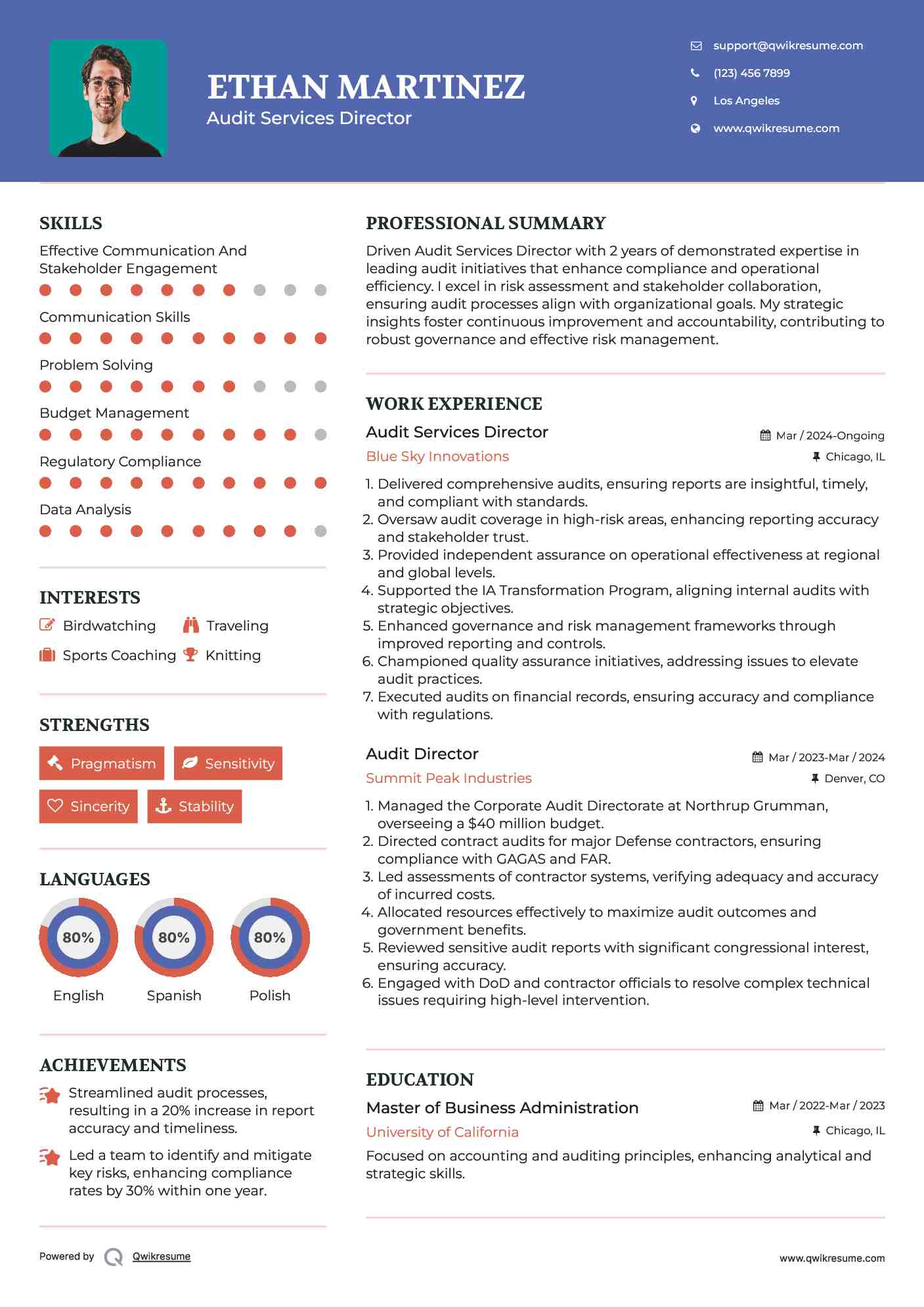 Audit Services Director Resume Template