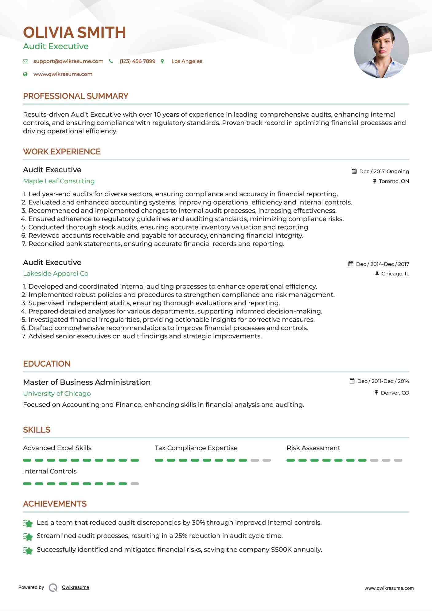 Audit Executive Resume Template