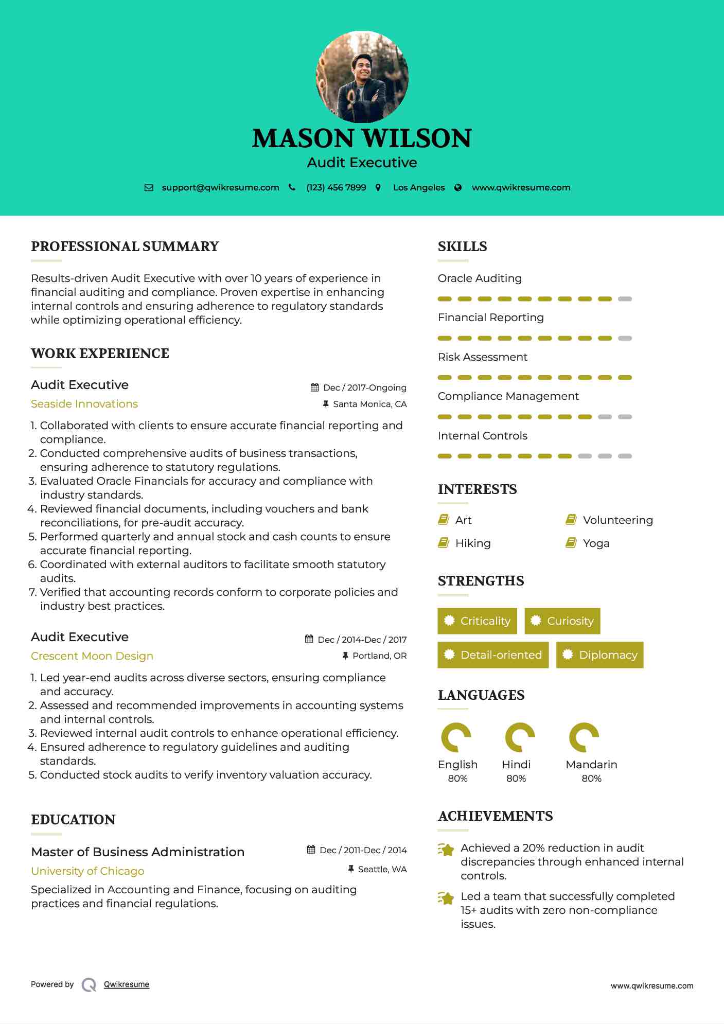 Audit Executive Resume Template
