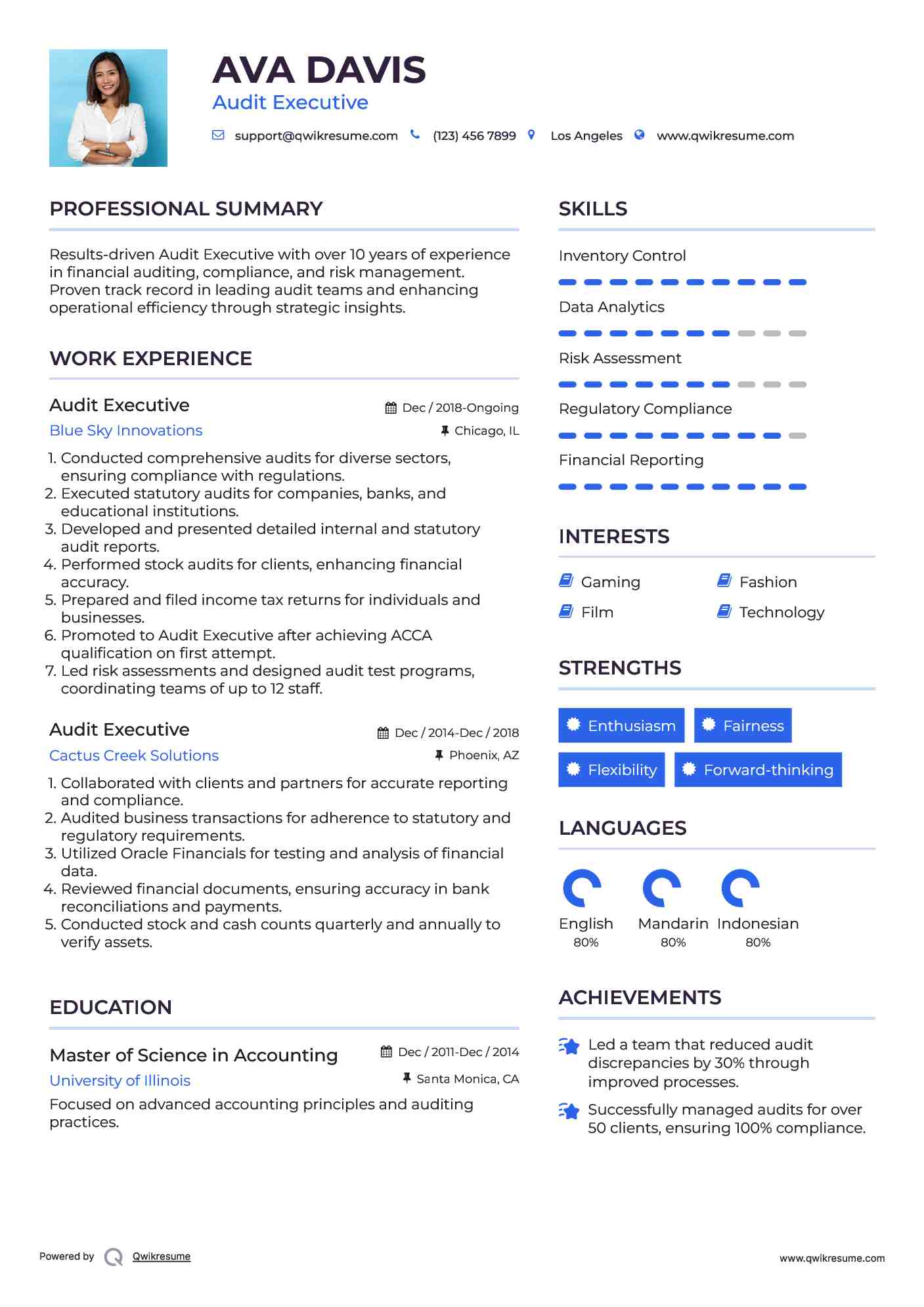 Audit Executive Resume Model