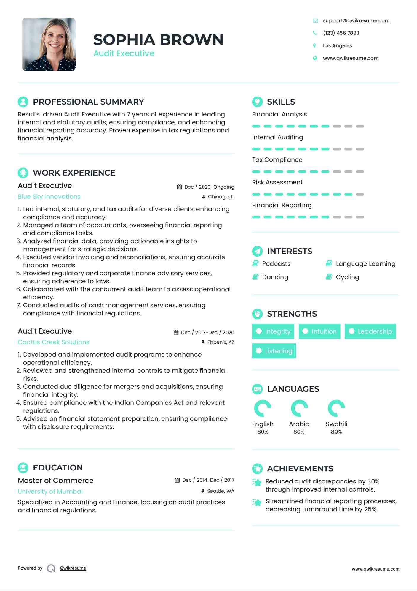 Audit Executive Resume Sample