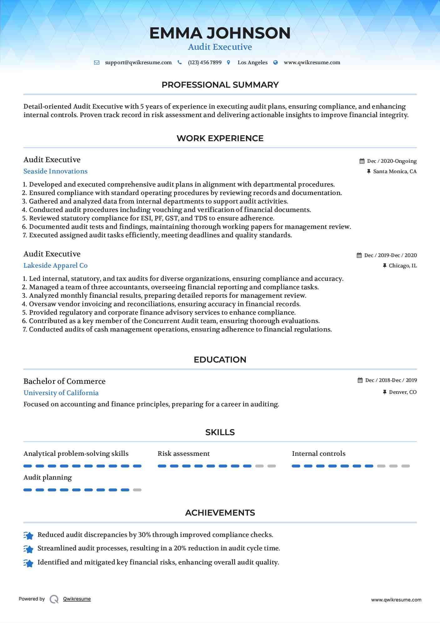 Audit Executive Resume Example