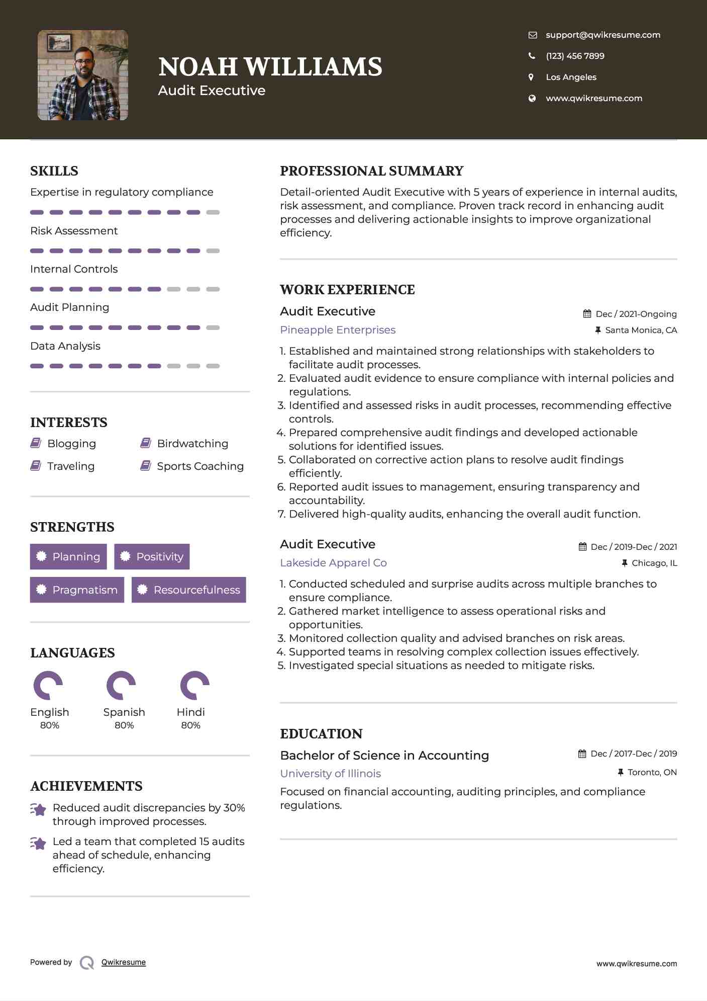 Audit Executive Resume Example