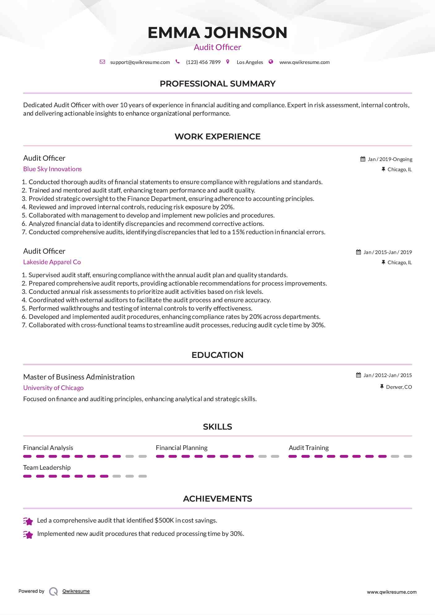 Audit Officer Resume Example