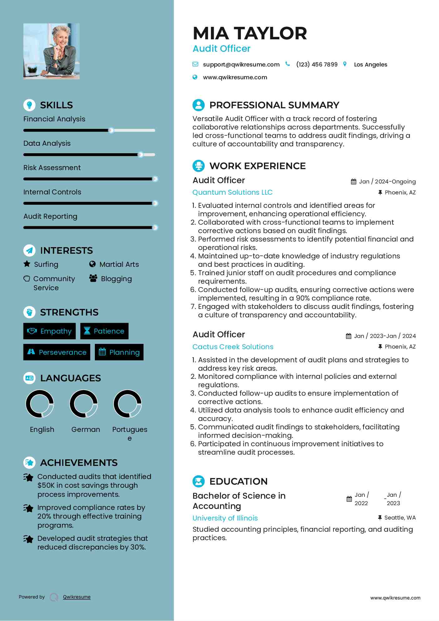 Audit Officer Resume Example