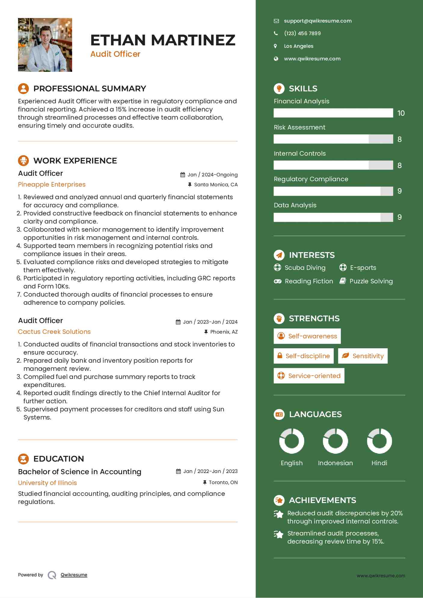 Audit Officer Resume Model