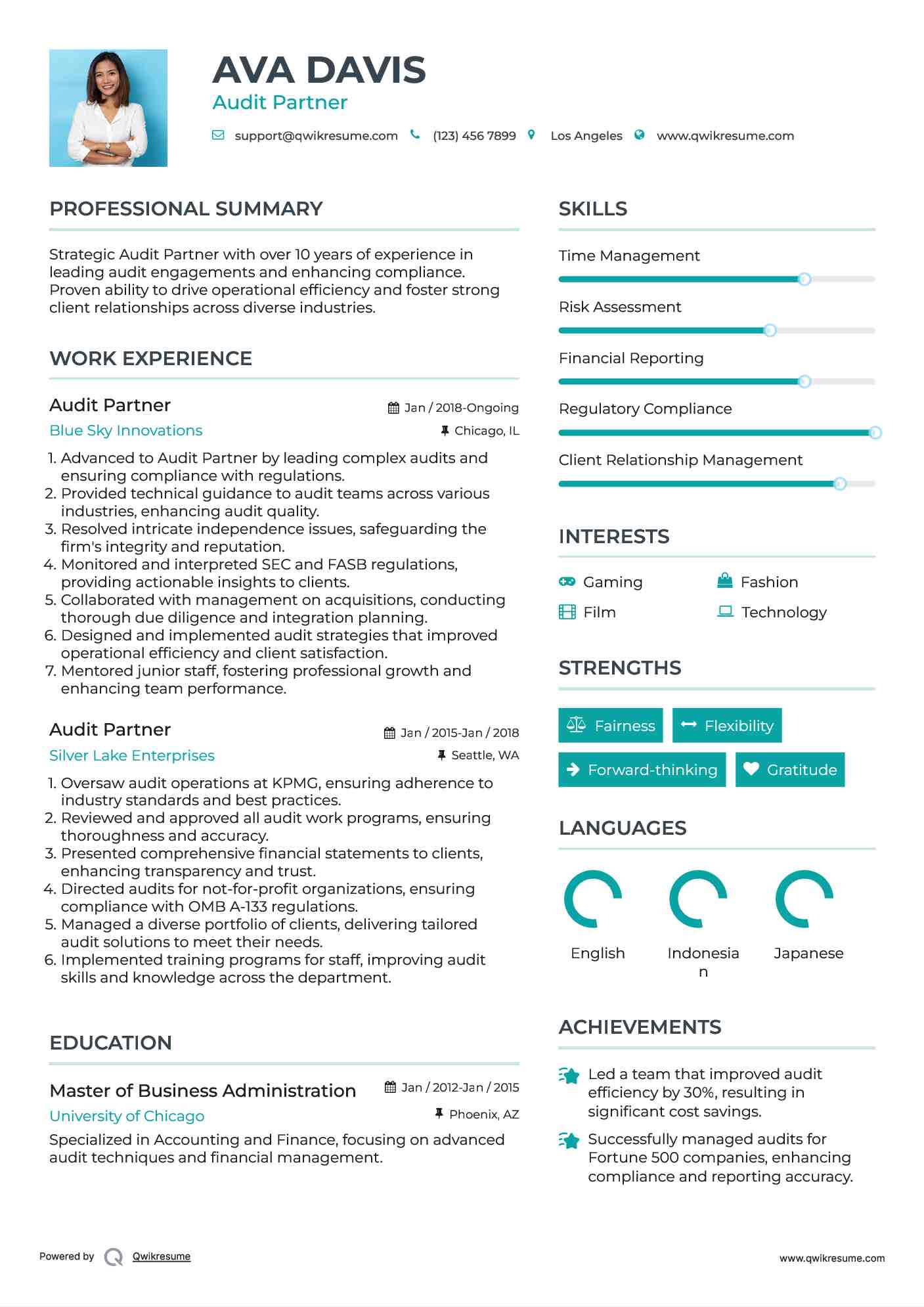 Audit Partner Resume Sample