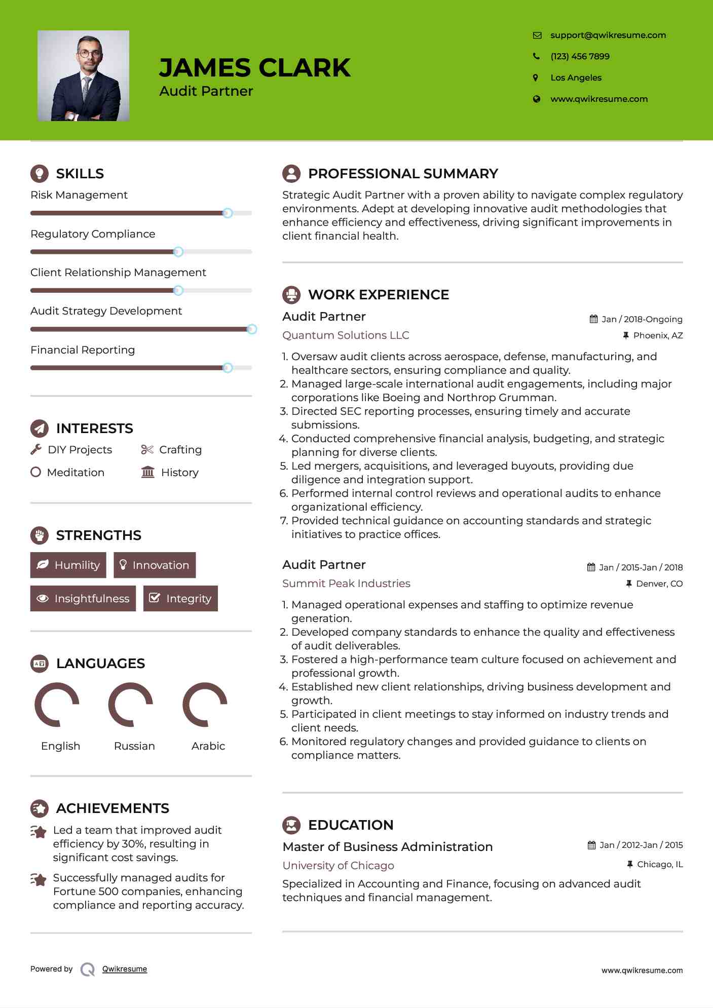 Audit Partner Resume Example