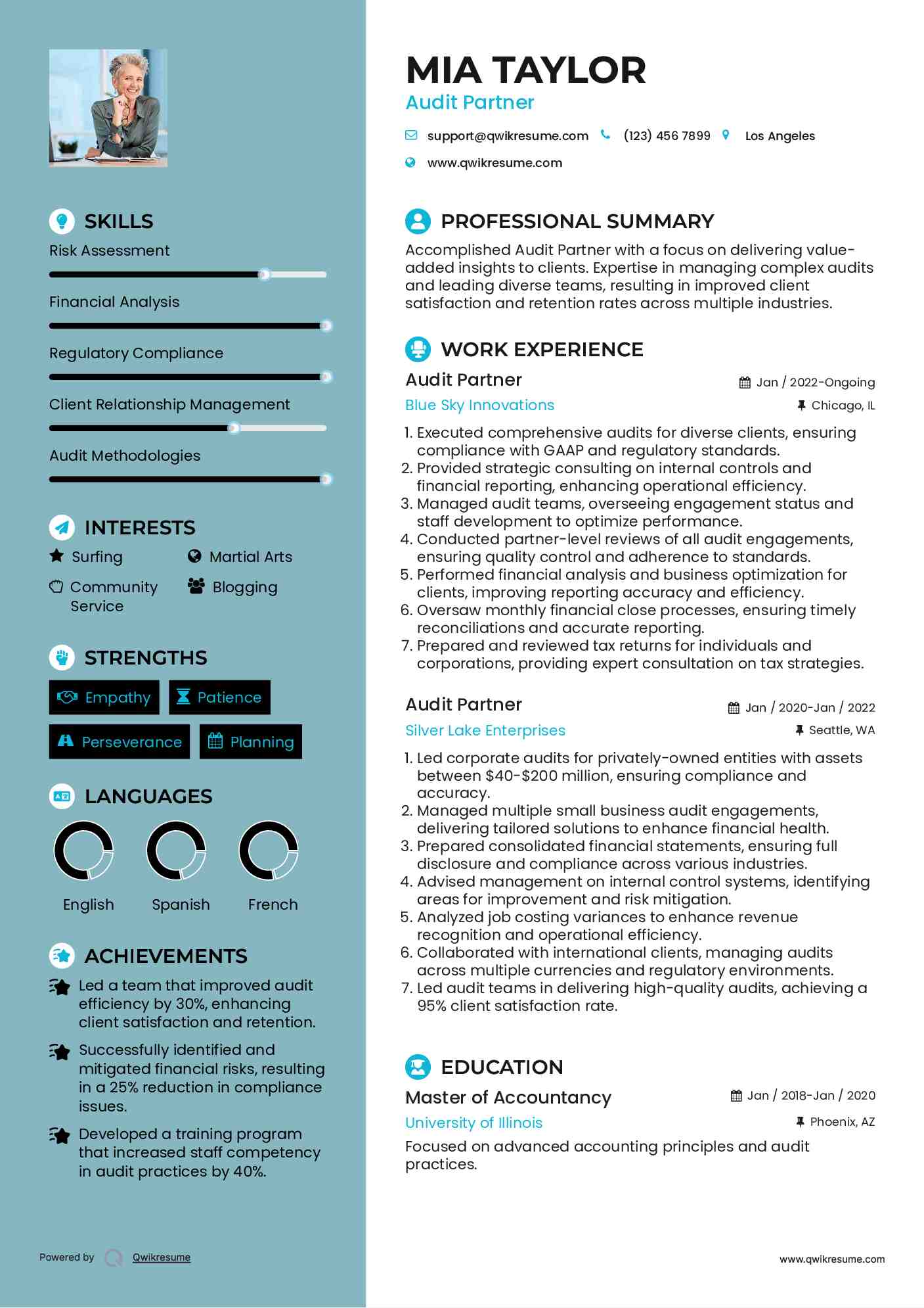 Audit Partner Resume Example