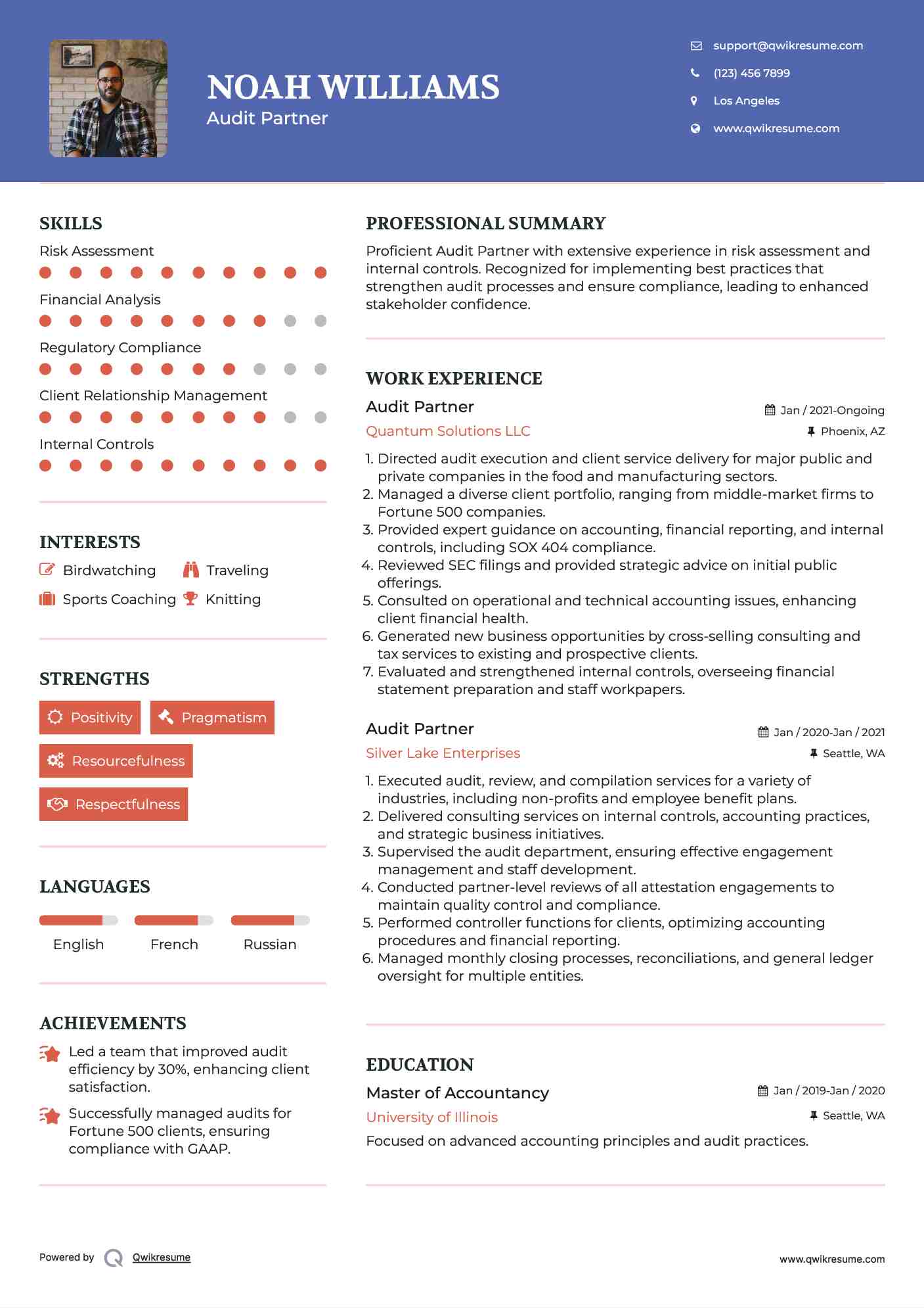 Audit Partner Resume Template