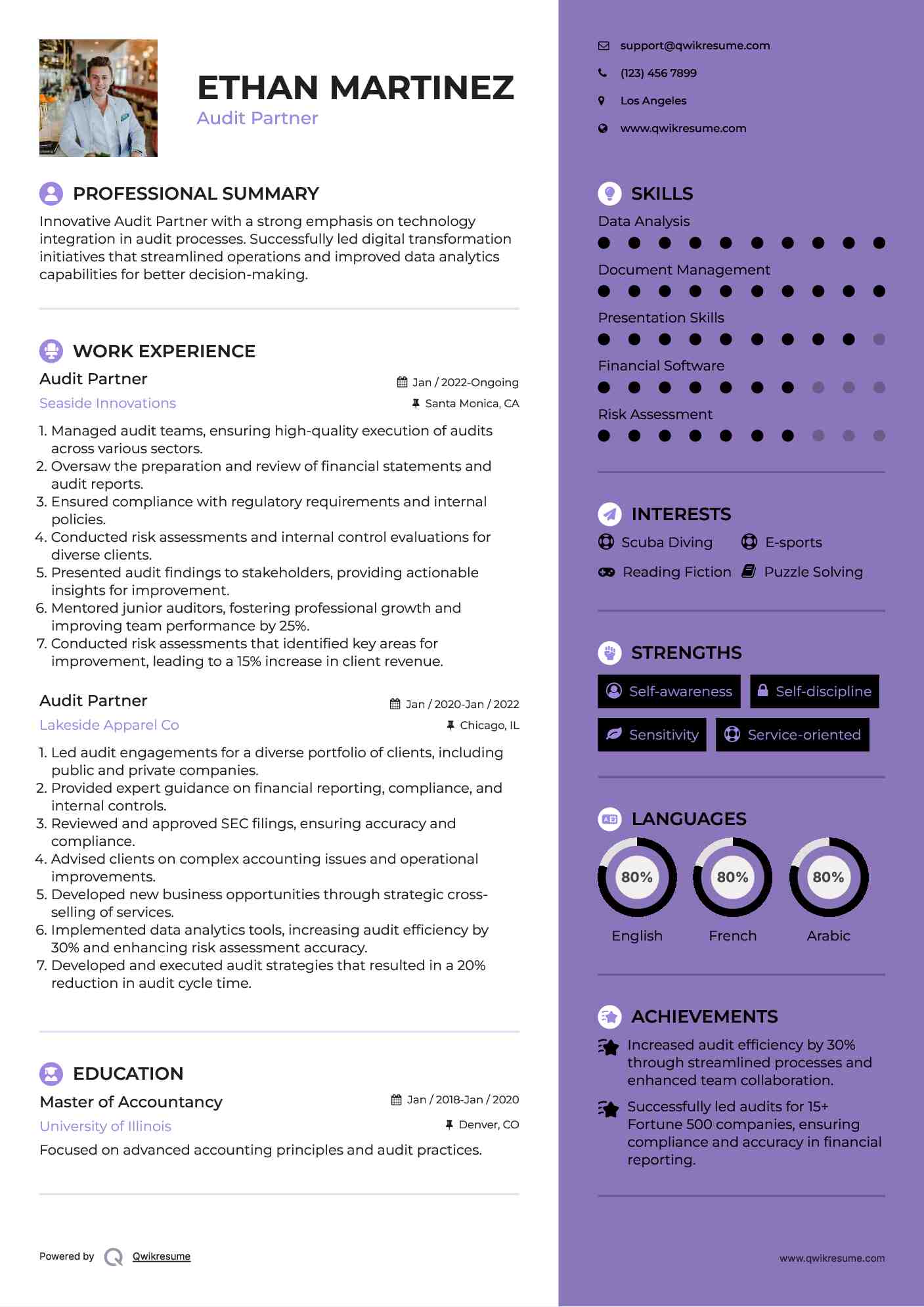 Audit Partner Resume Example