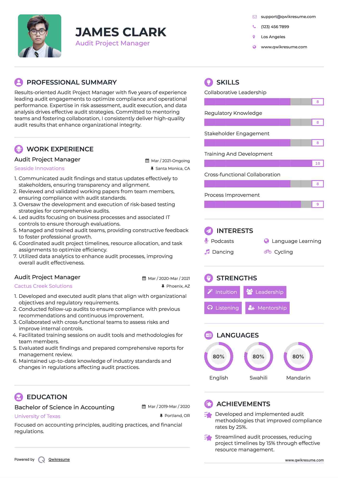 Audit Project Manager Resume Model