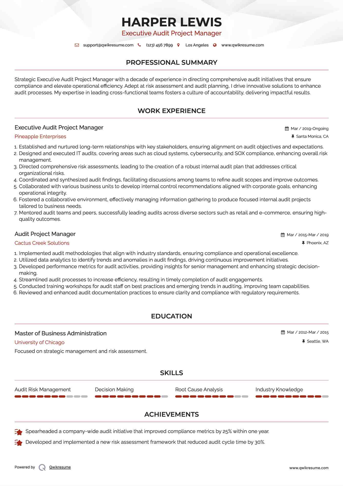 Executive Audit Project Manager Resume Sample