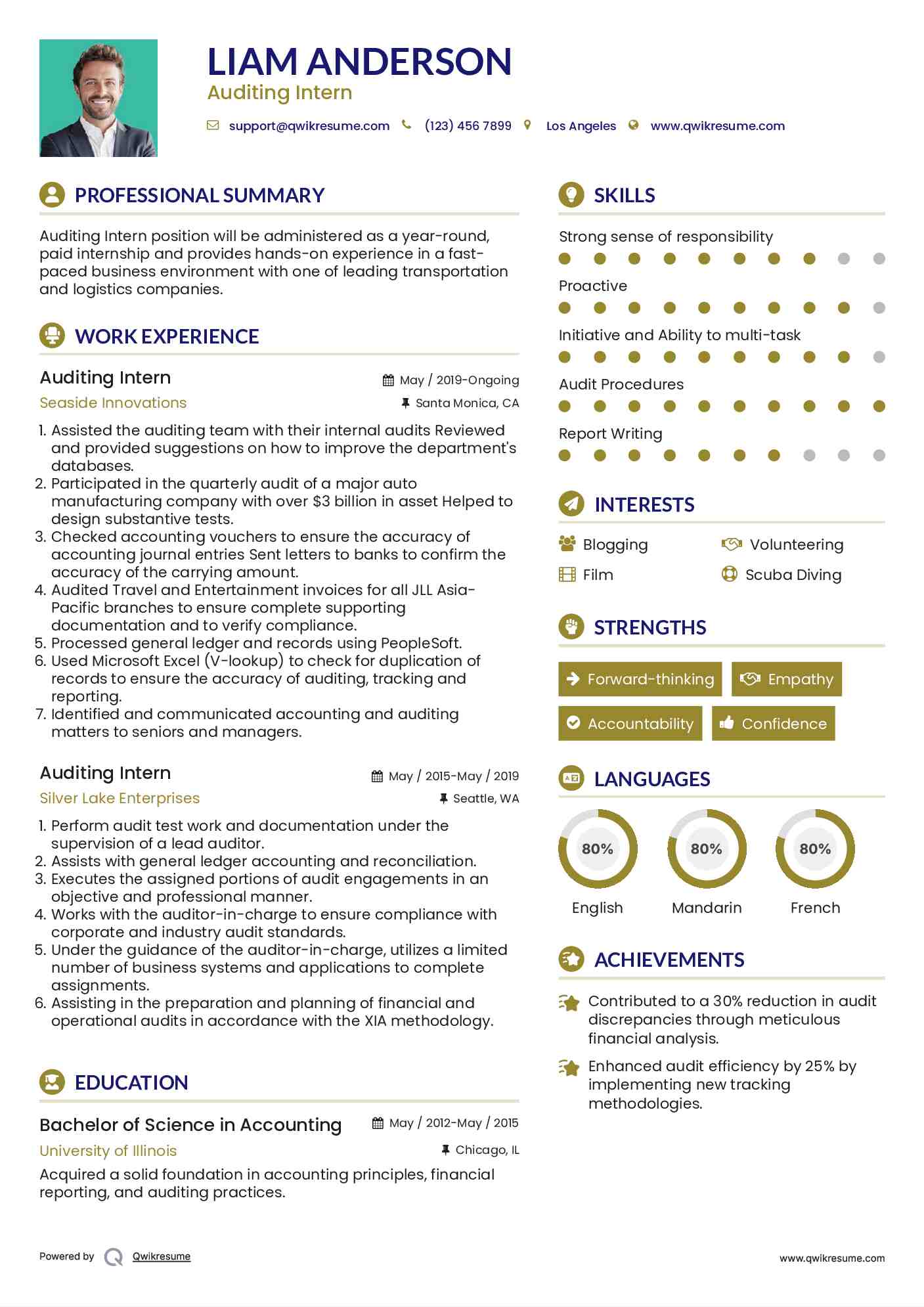 Auditing Intern Resume Format