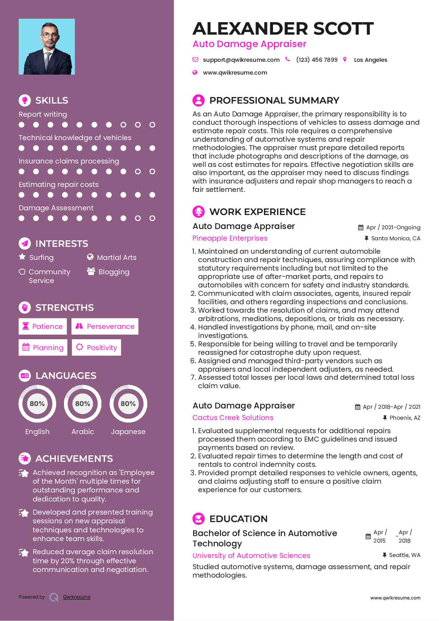 Auto Damage Appraiser Resume Example