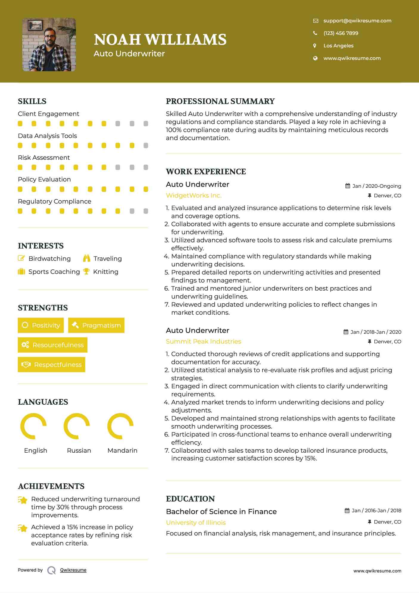 Auto Underwriter Resume Sample