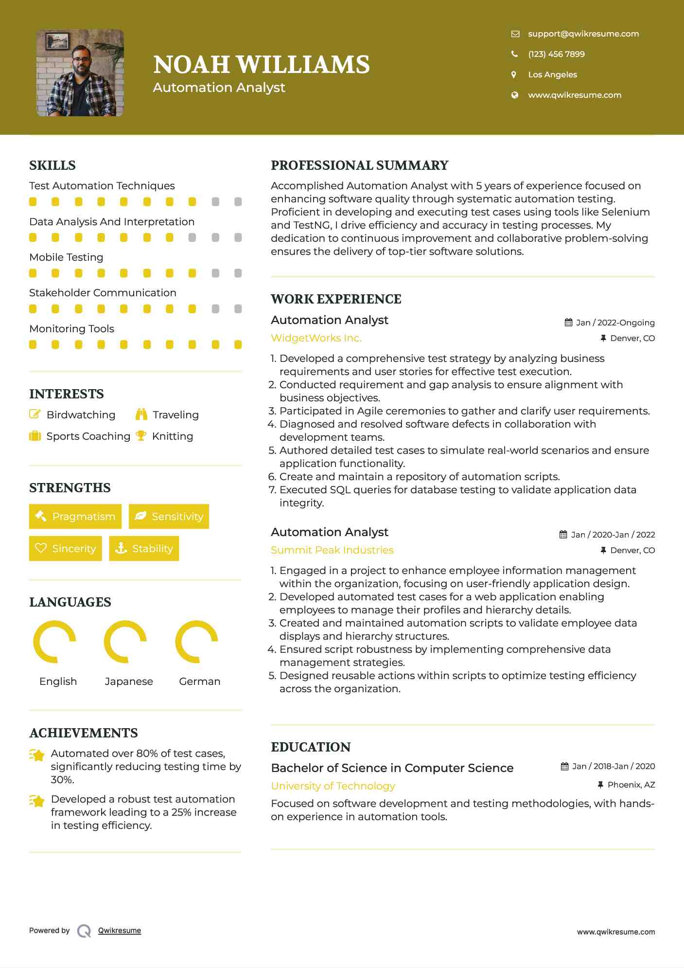 Automation Analyst Resume Model