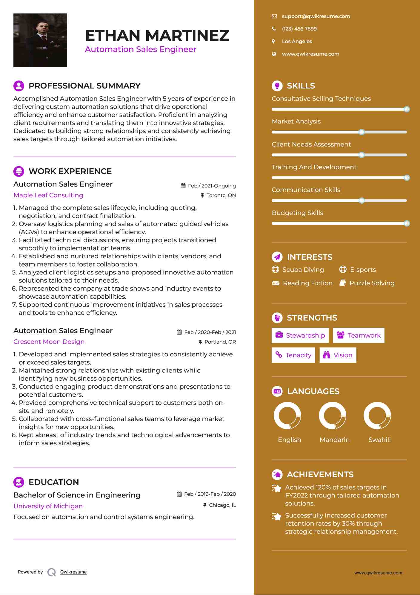 Automation Sales Engineer Resume Example