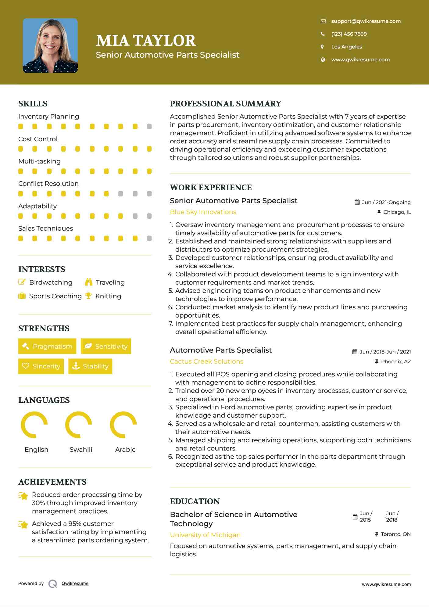 Senior Automotive Parts Specialist Resume Format