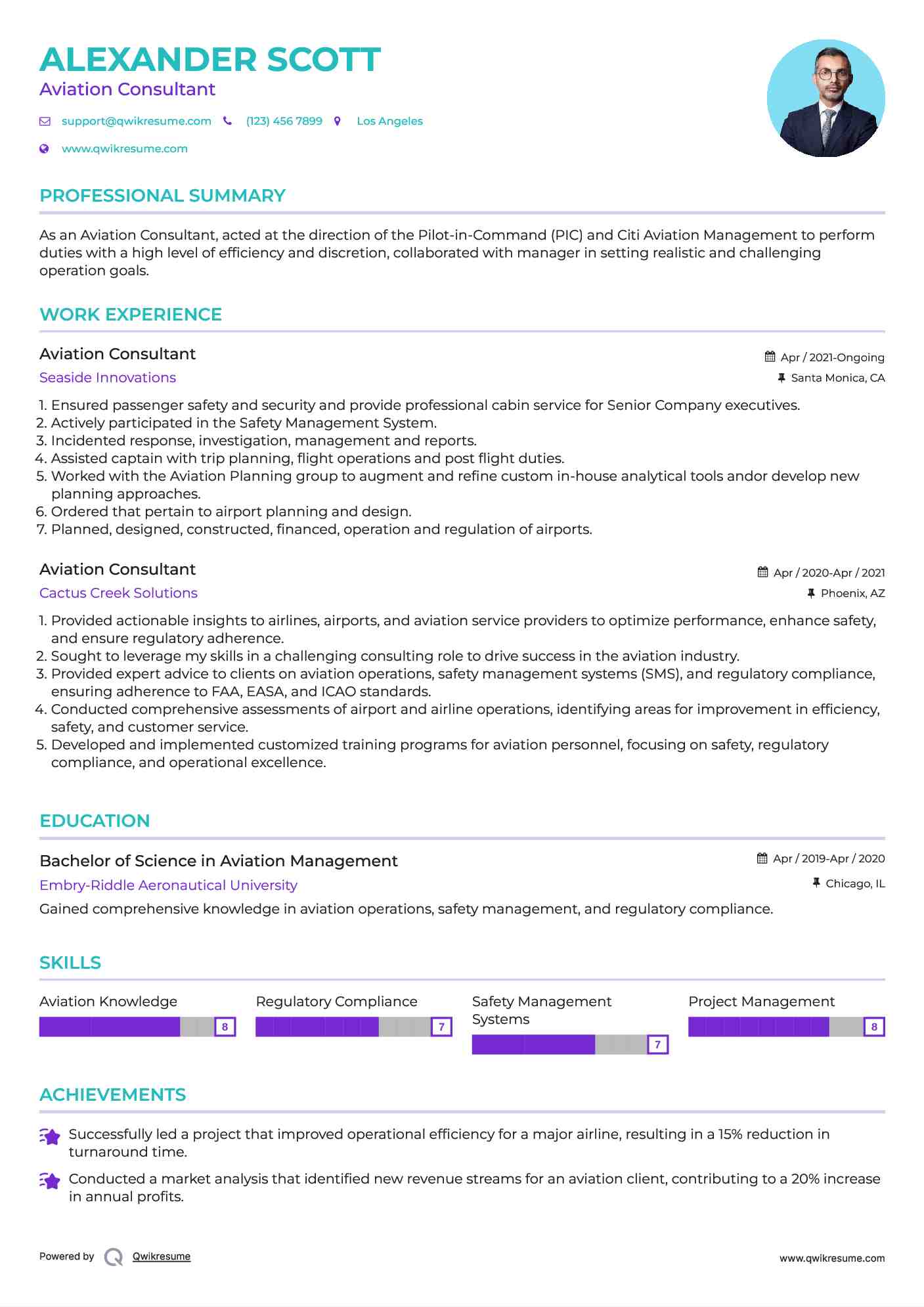 Aviation Consultant Resume Format