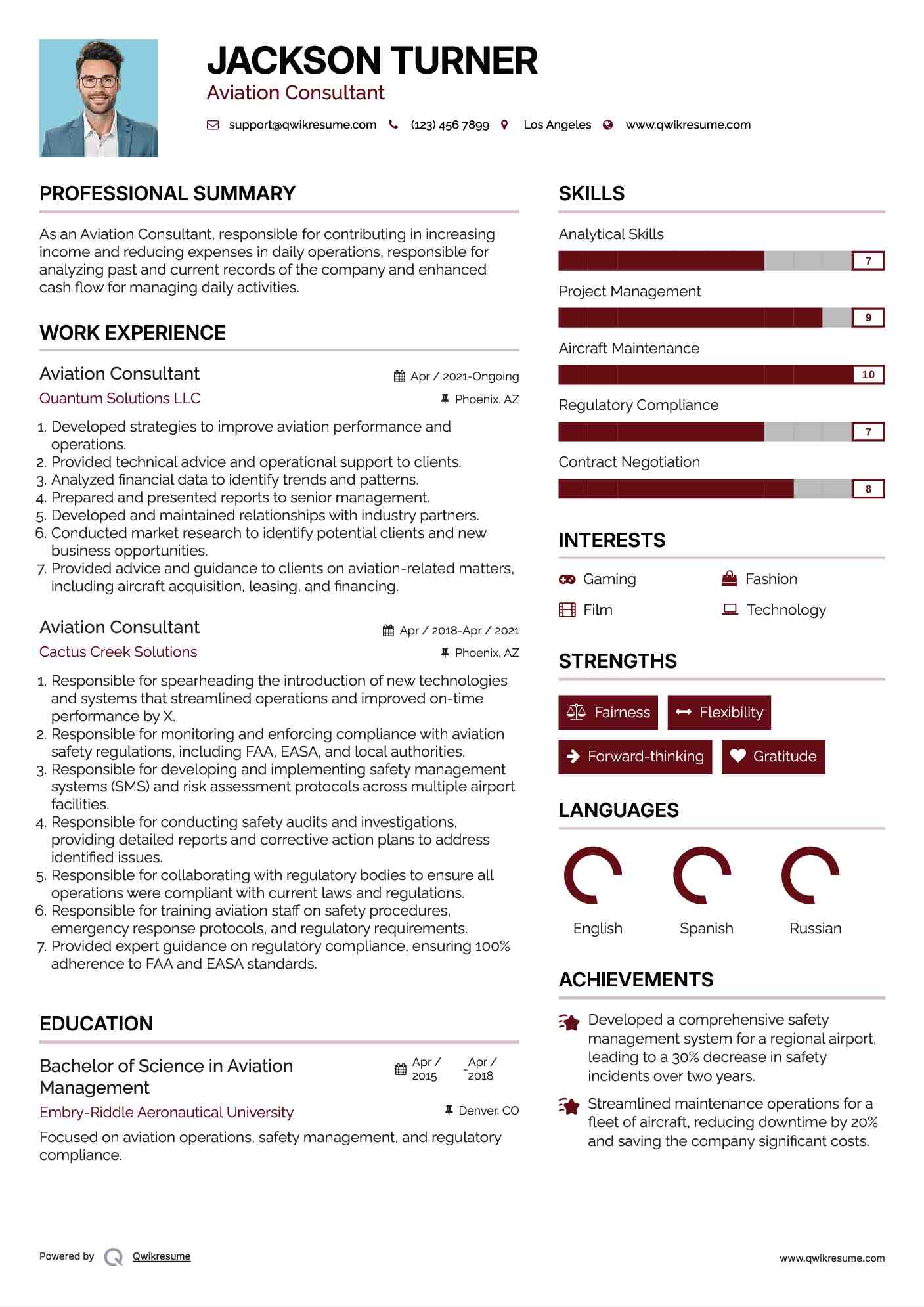 Aviation Consultant Resume Sample