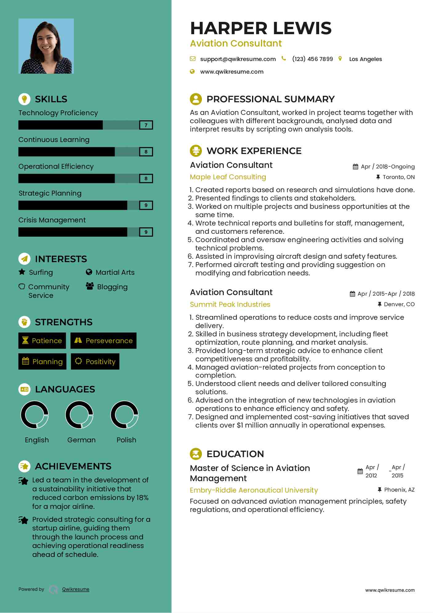 Aviation Consultant Resume Template