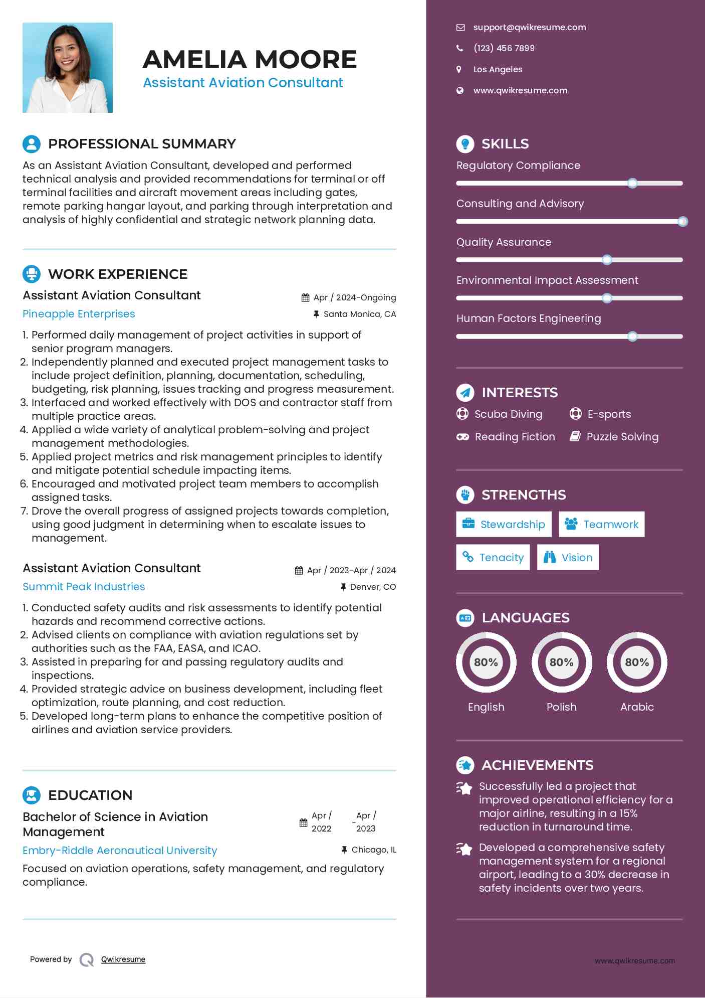 Assistant Aviation Consultant Resume Sample