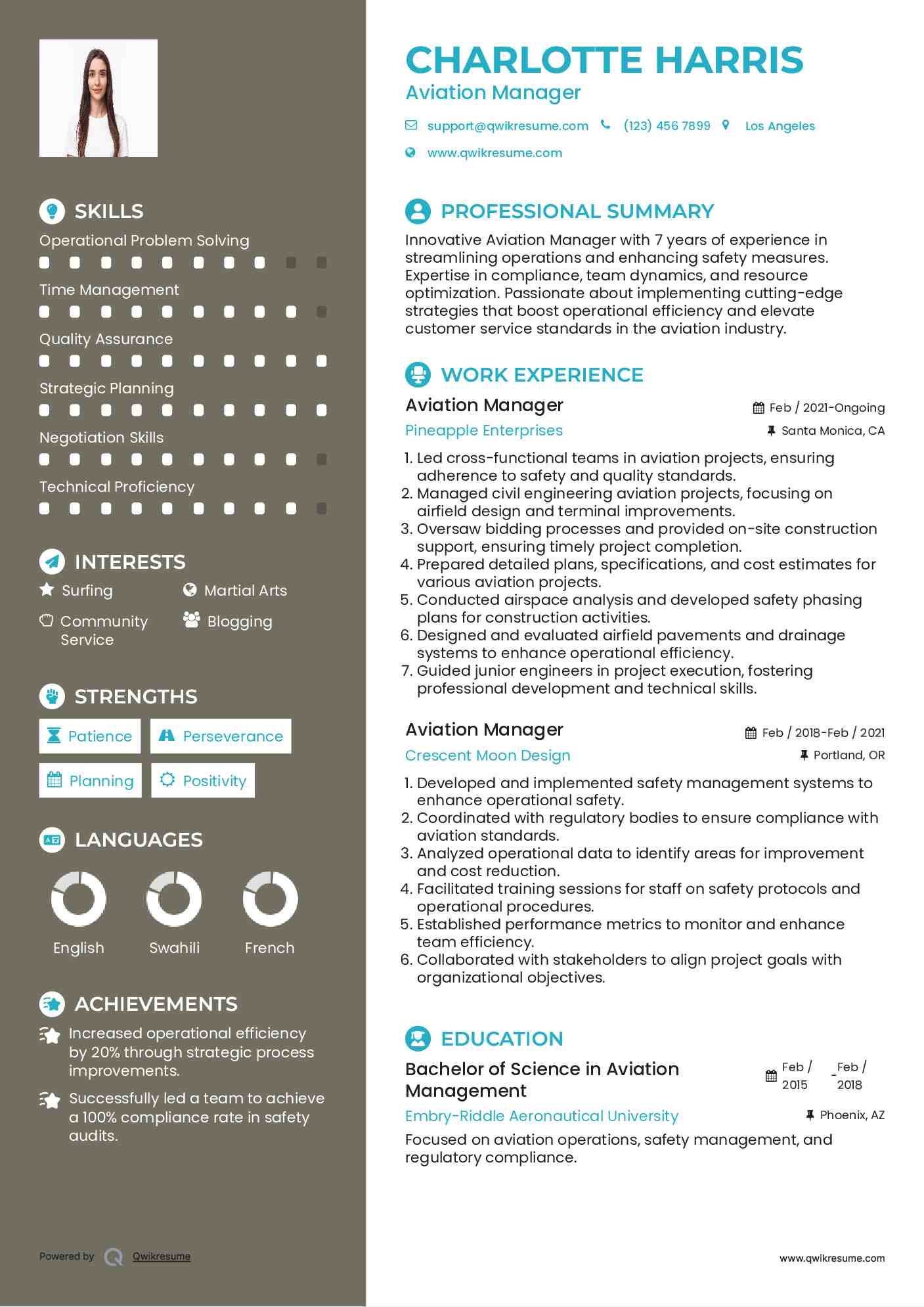 Aviation Manager Resume Example