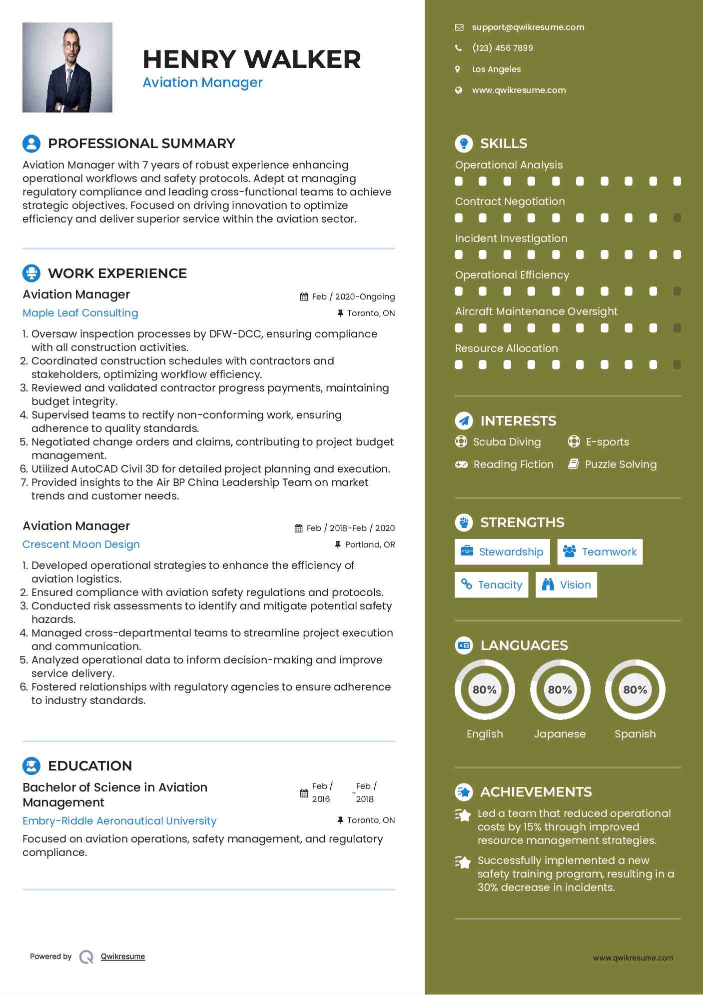 Aviation Manager Resume Format