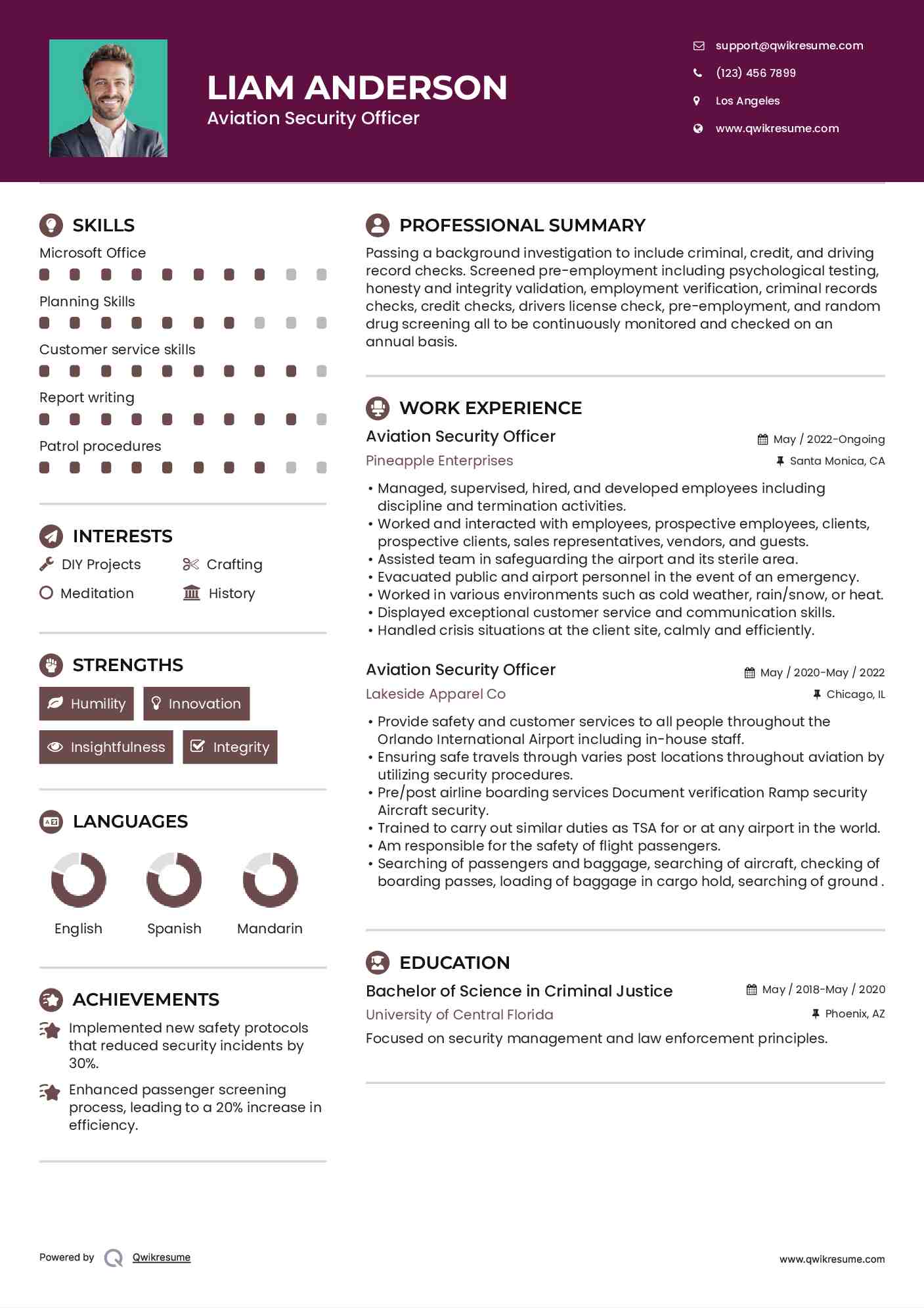 Aviation Security Officer Resume Template