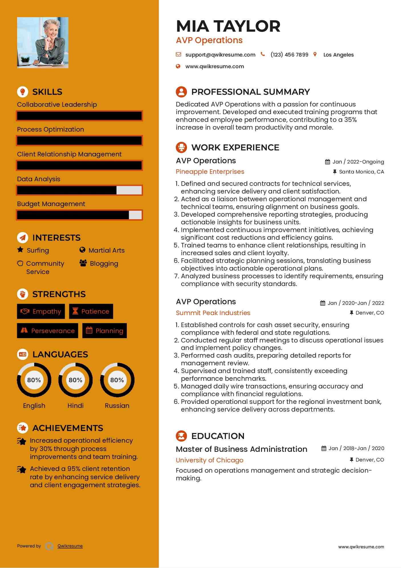 AVP Operations Resume Template