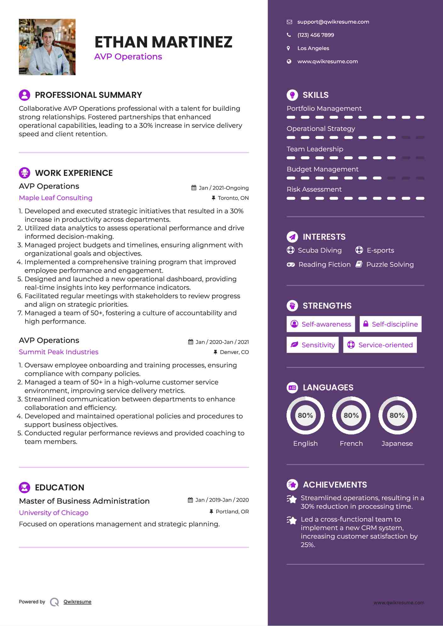 AVP Operations Resume Model