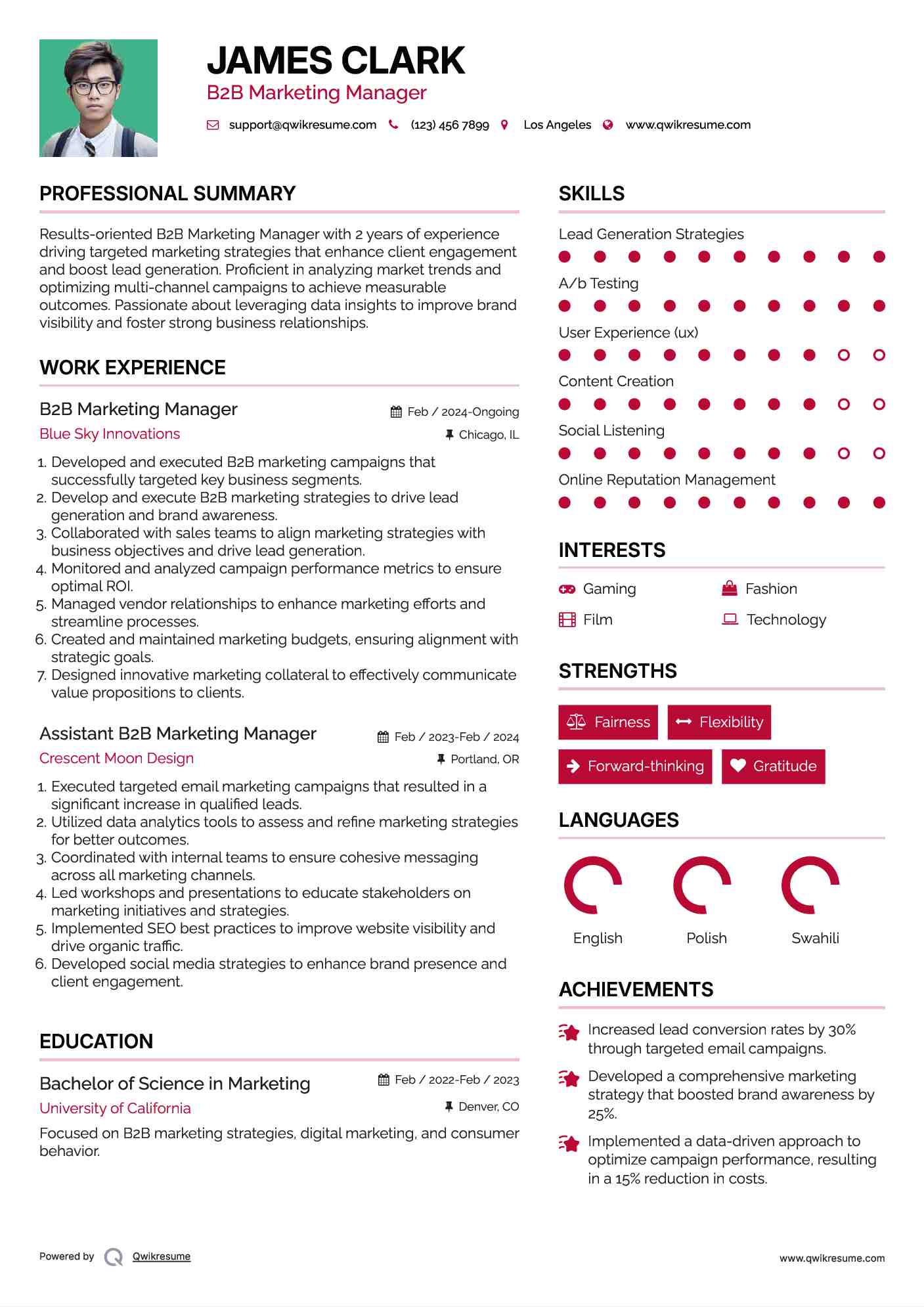 B2B Marketing Manager Resume Model