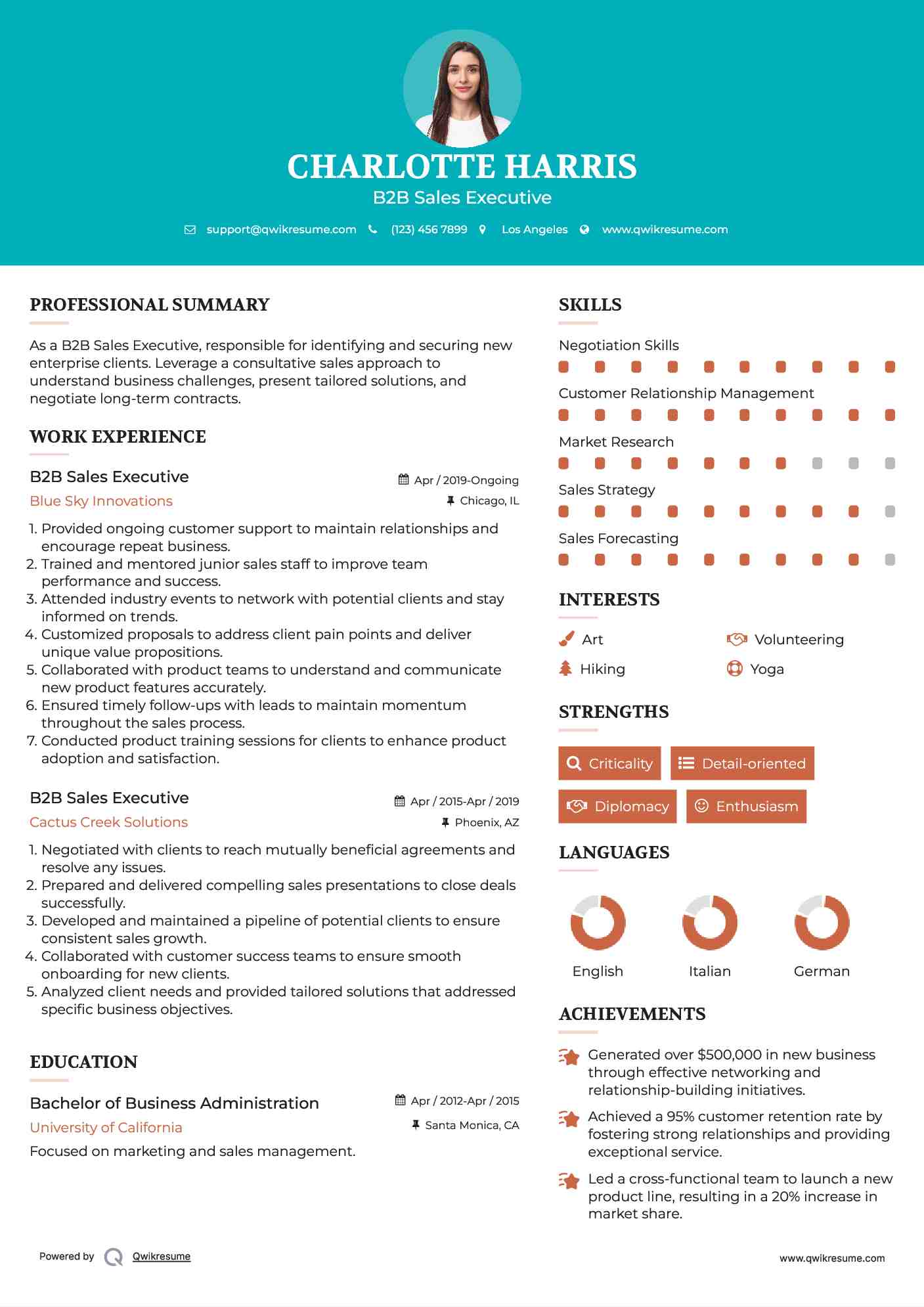 B2B Sales Executive Resume Example