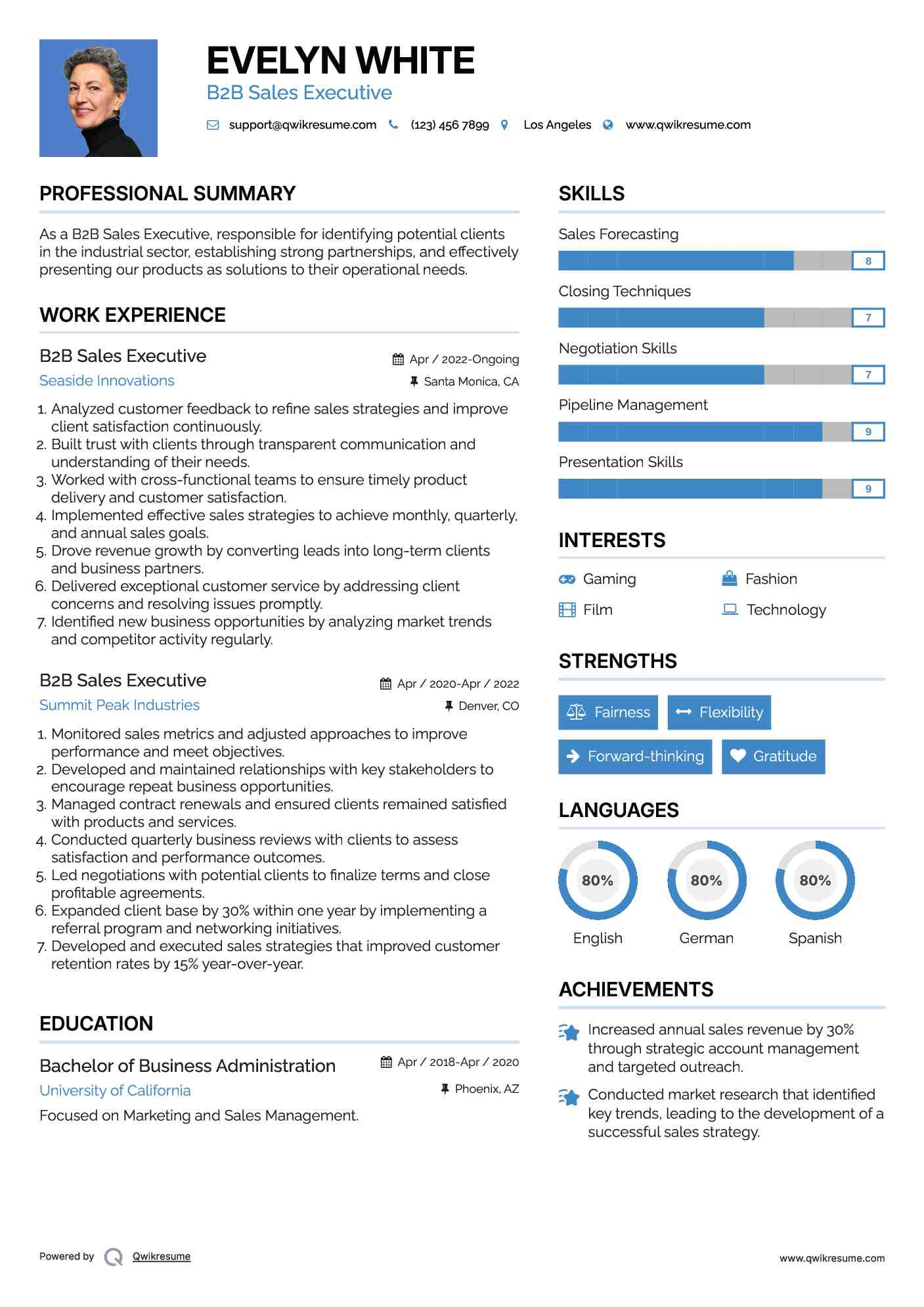 B2B Sales Executive Resume Format
