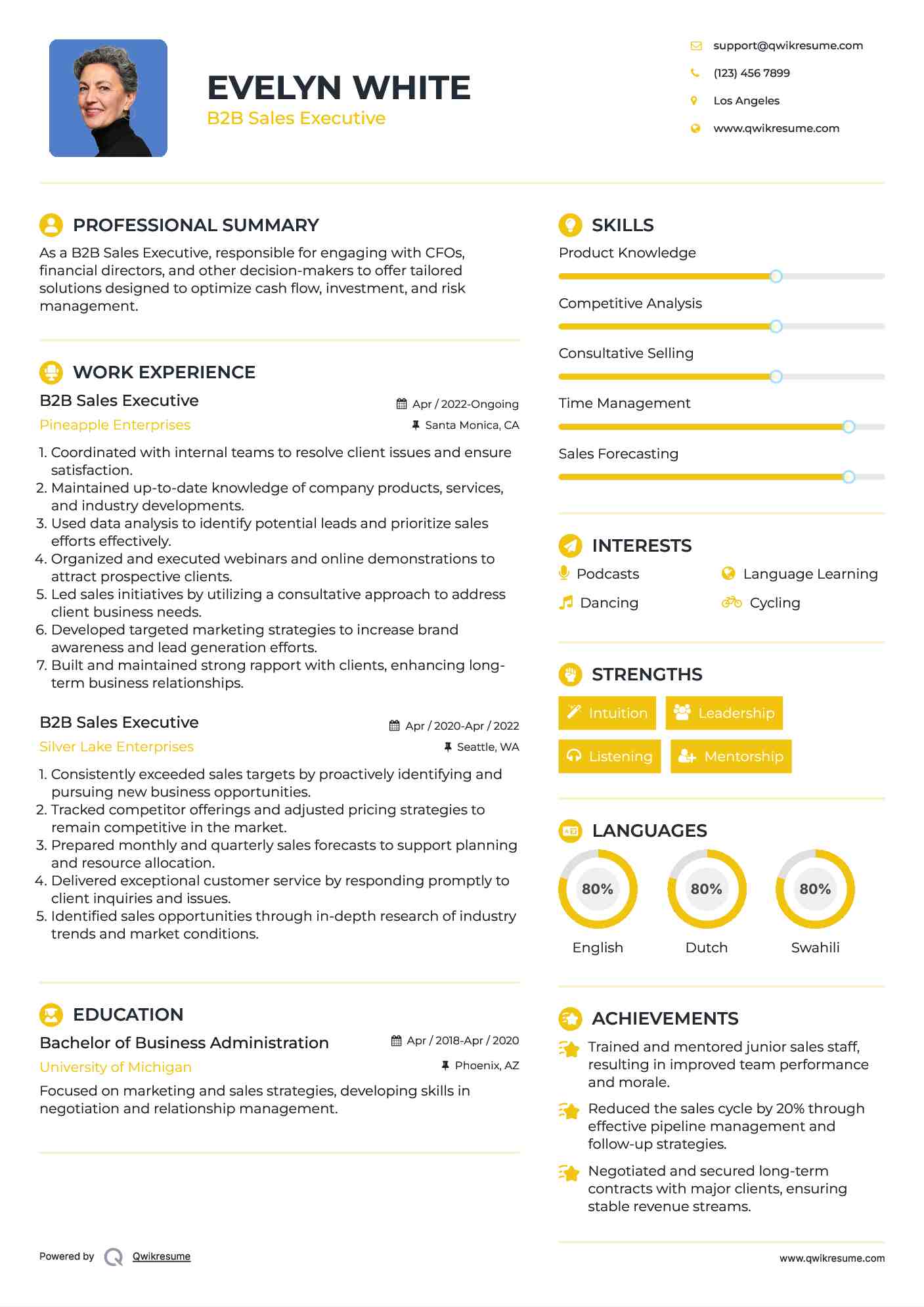 B2B Sales Executive Resume Sample