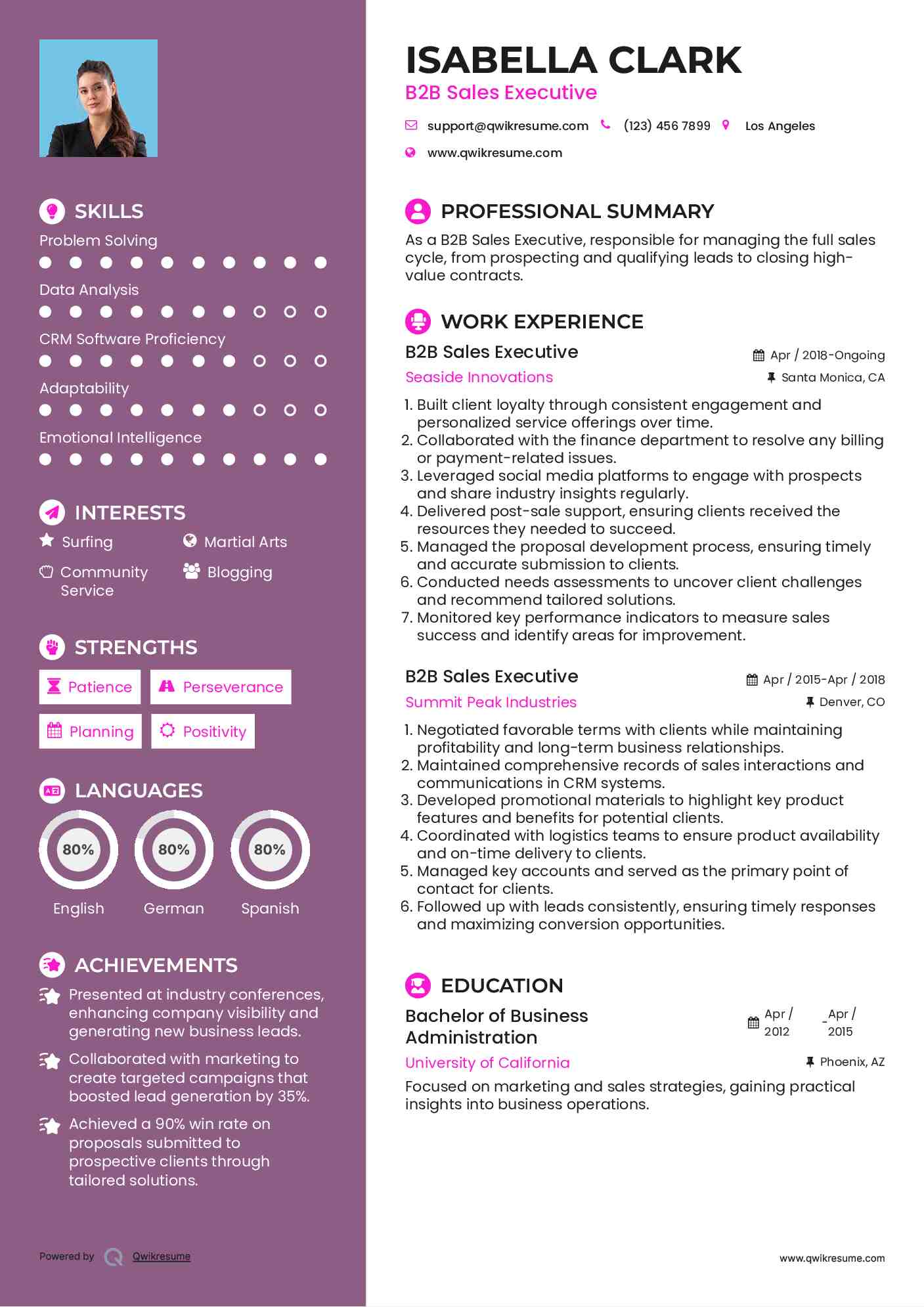 B2B Sales Executive Resume Template